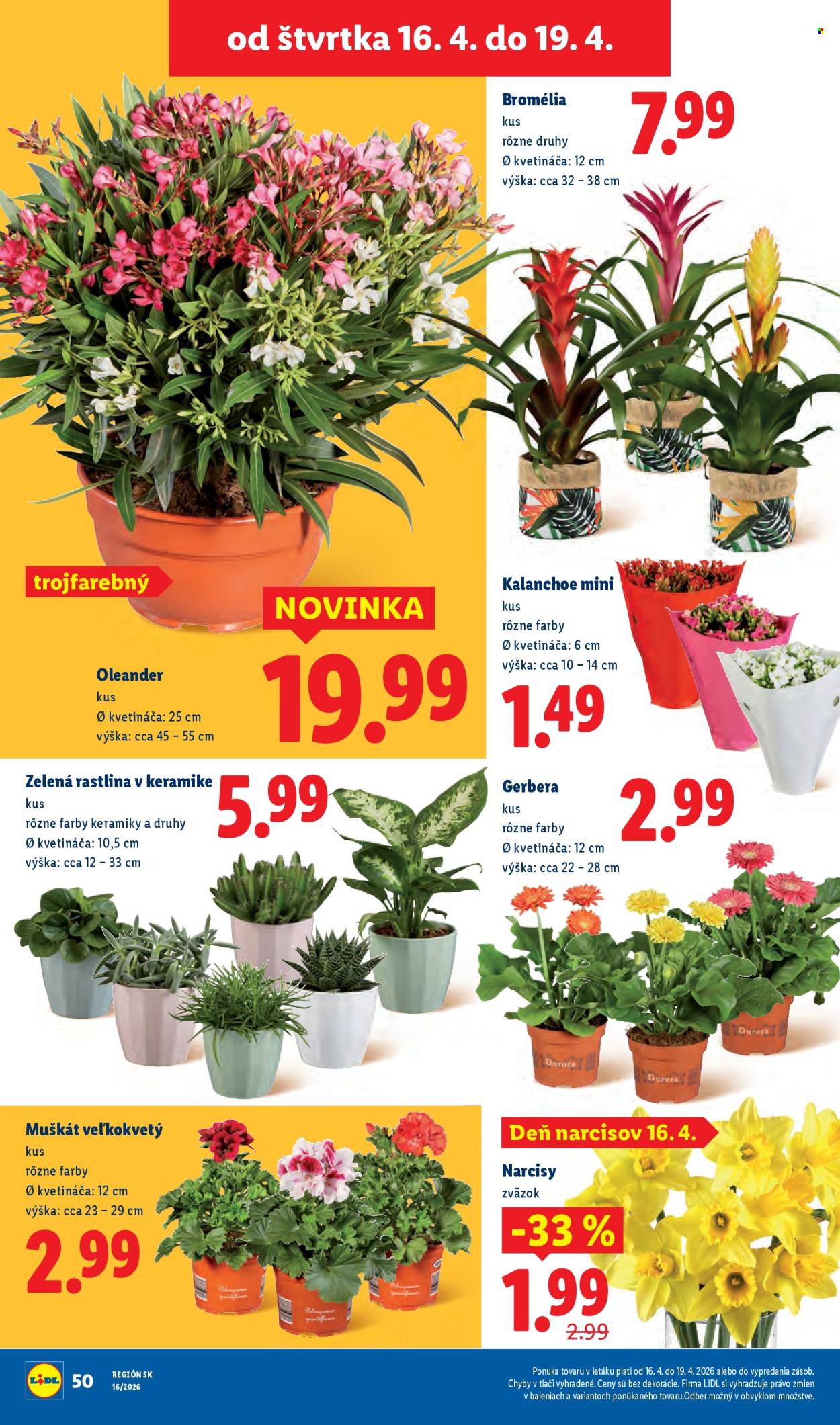 Leták Lidl - 13.4.2026 - 19.4.2026. Strana 74