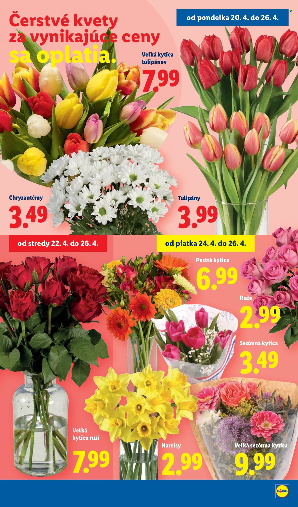 Leták Lidl - 20.4.2026 - 26.4.2026. Strana 41