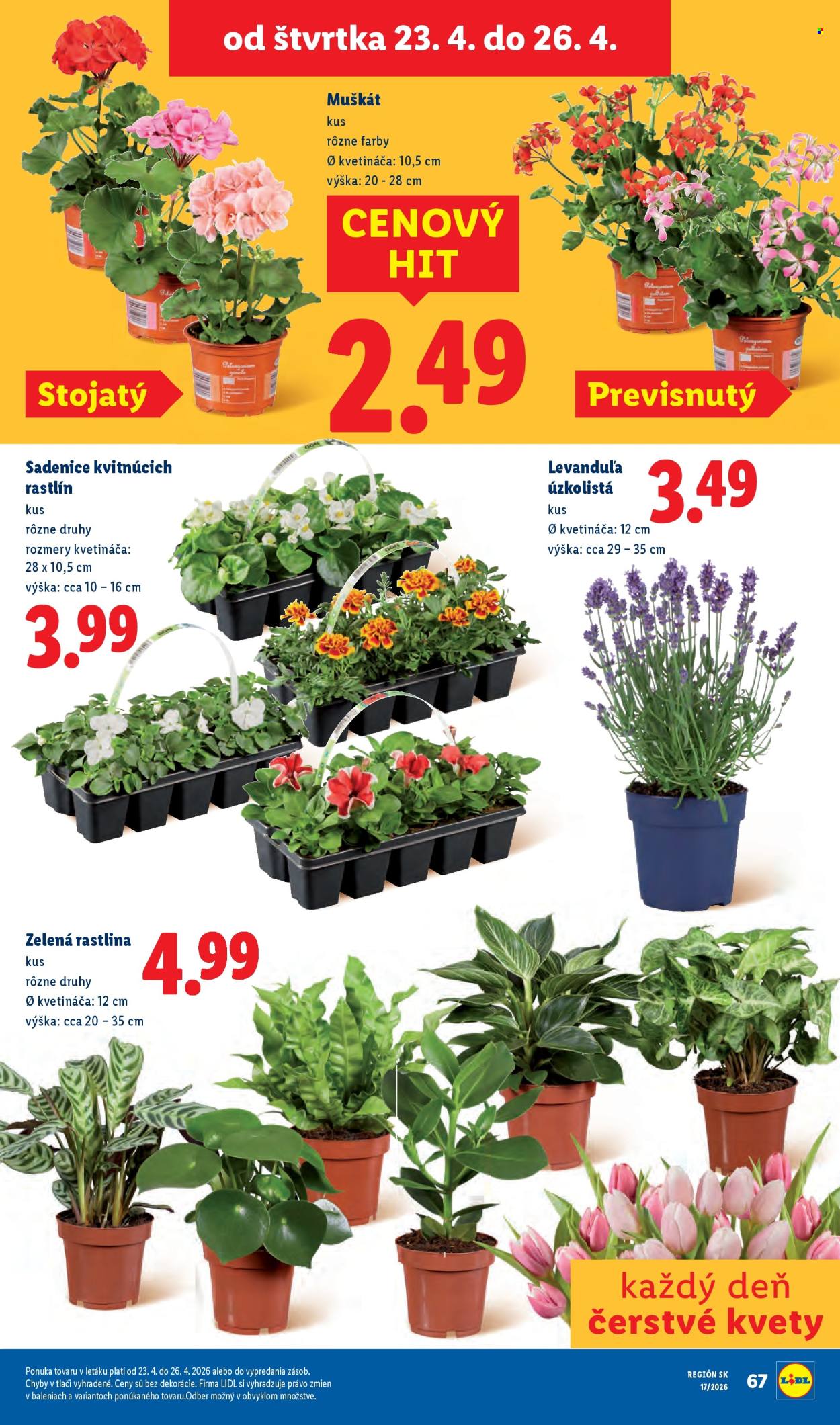 Leták Lidl - 20.4.2026 - 26.4.2026. Strana 80