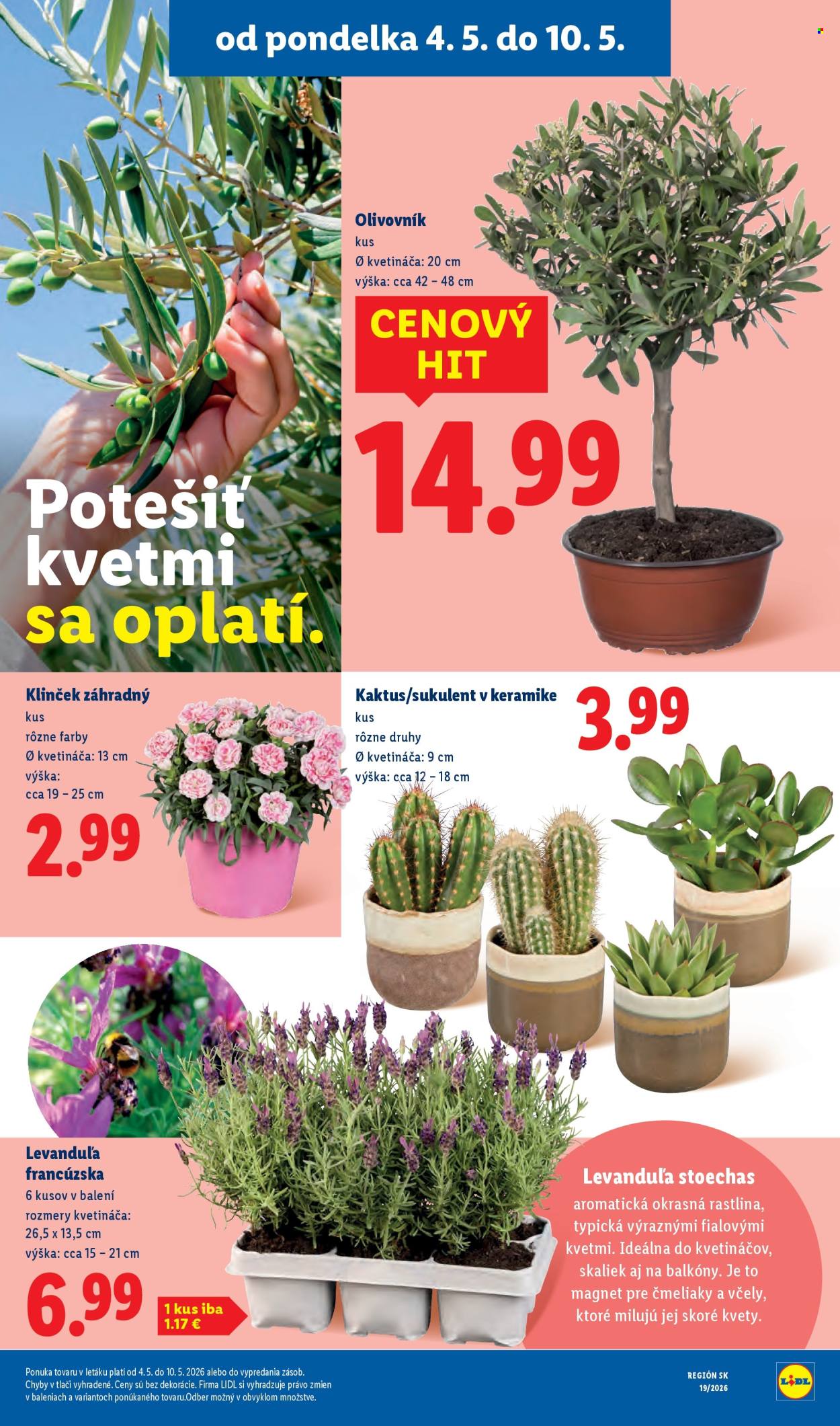 Leták Lidl - 4.5.2026 - 10.5.2026. Strana 42