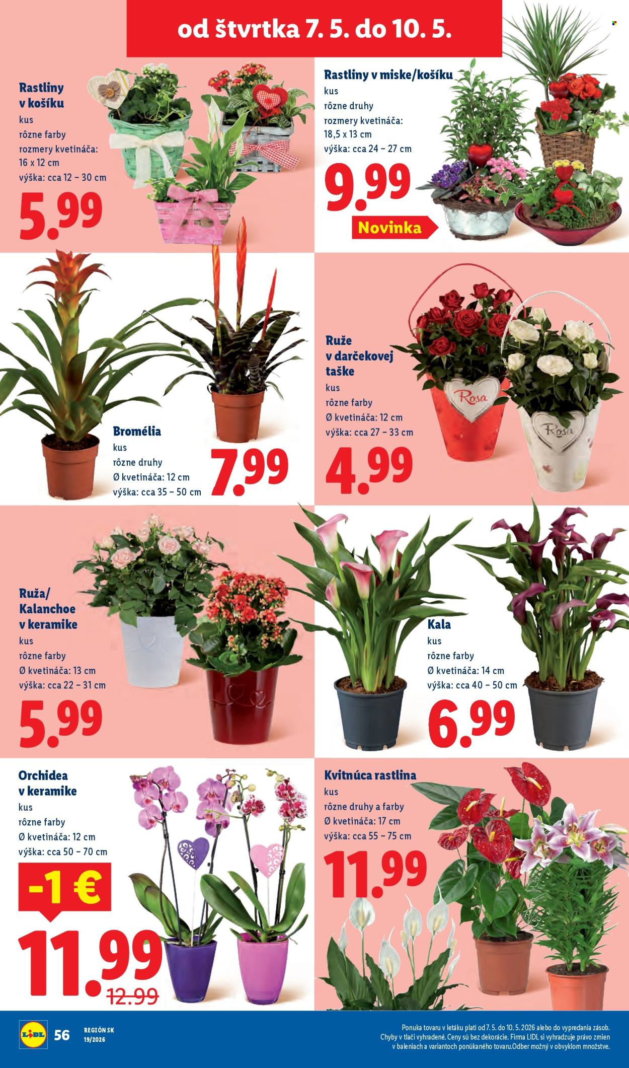 Leták Lidl - 4.5.2026 - 10.5.2026. Strana 68
