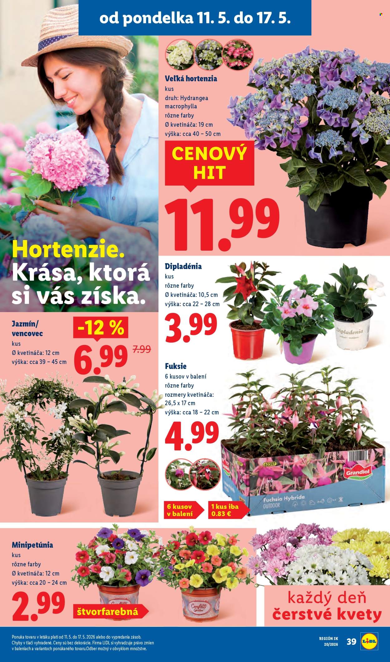 Leták Lidl - 11.5.2026 - 17.5.2026. Strana 38