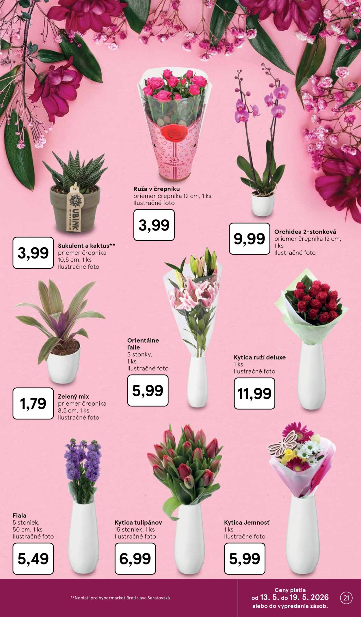 Leták TESCO - 13.5.2026 - 19.5.2026. Strana 21