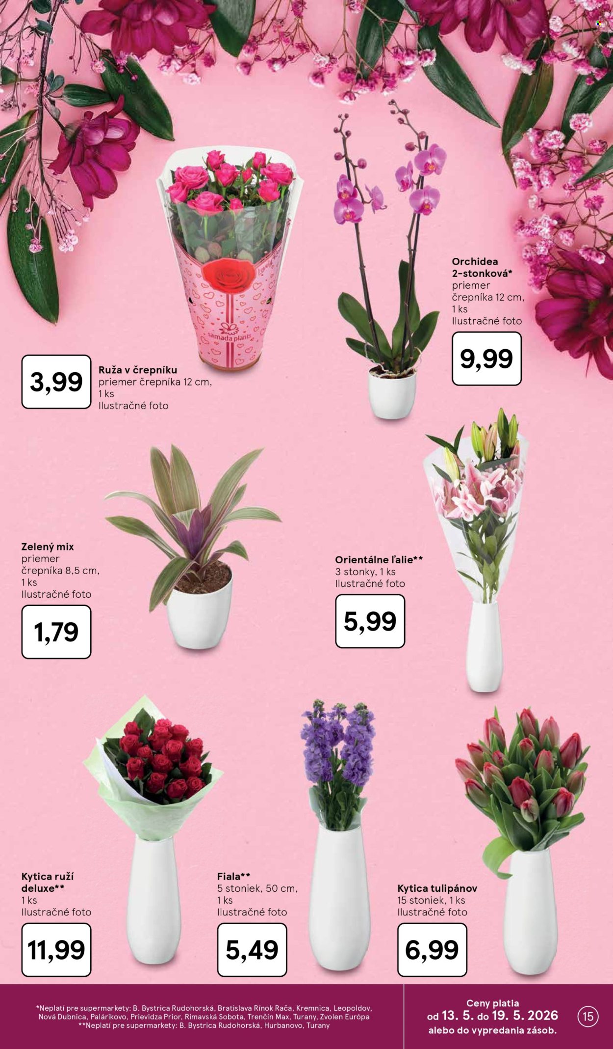 Leták TESCO supermarket - 13.5.2026 - 19.5.2026. Strana 15