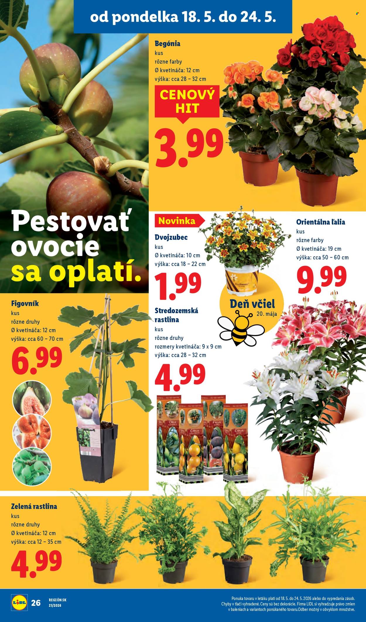 Leták Lidl - 18.5.2026 - 24.5.2026. Strana 32