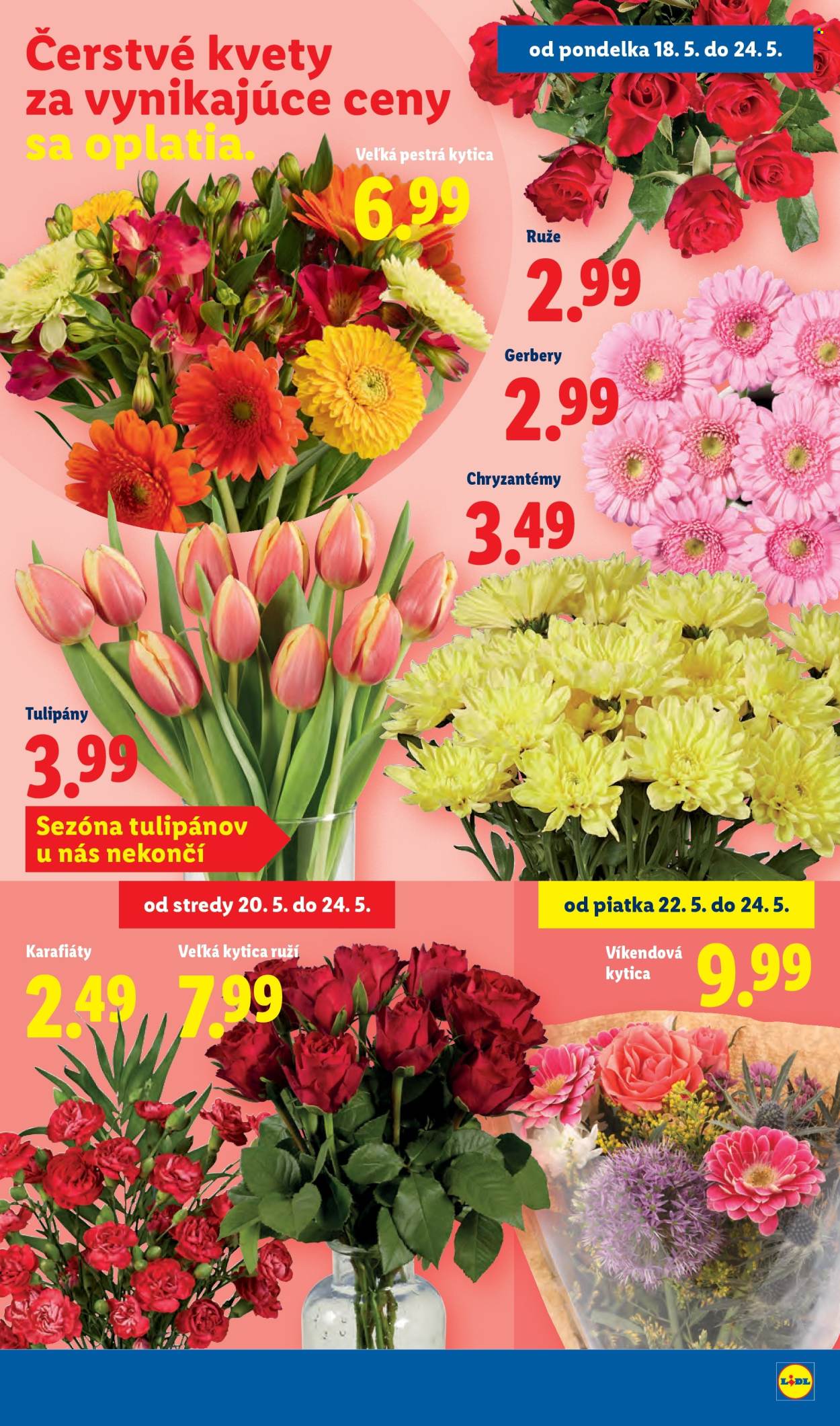 Leták Lidl - 18.5.2026 - 24.5.2026. Strana 33