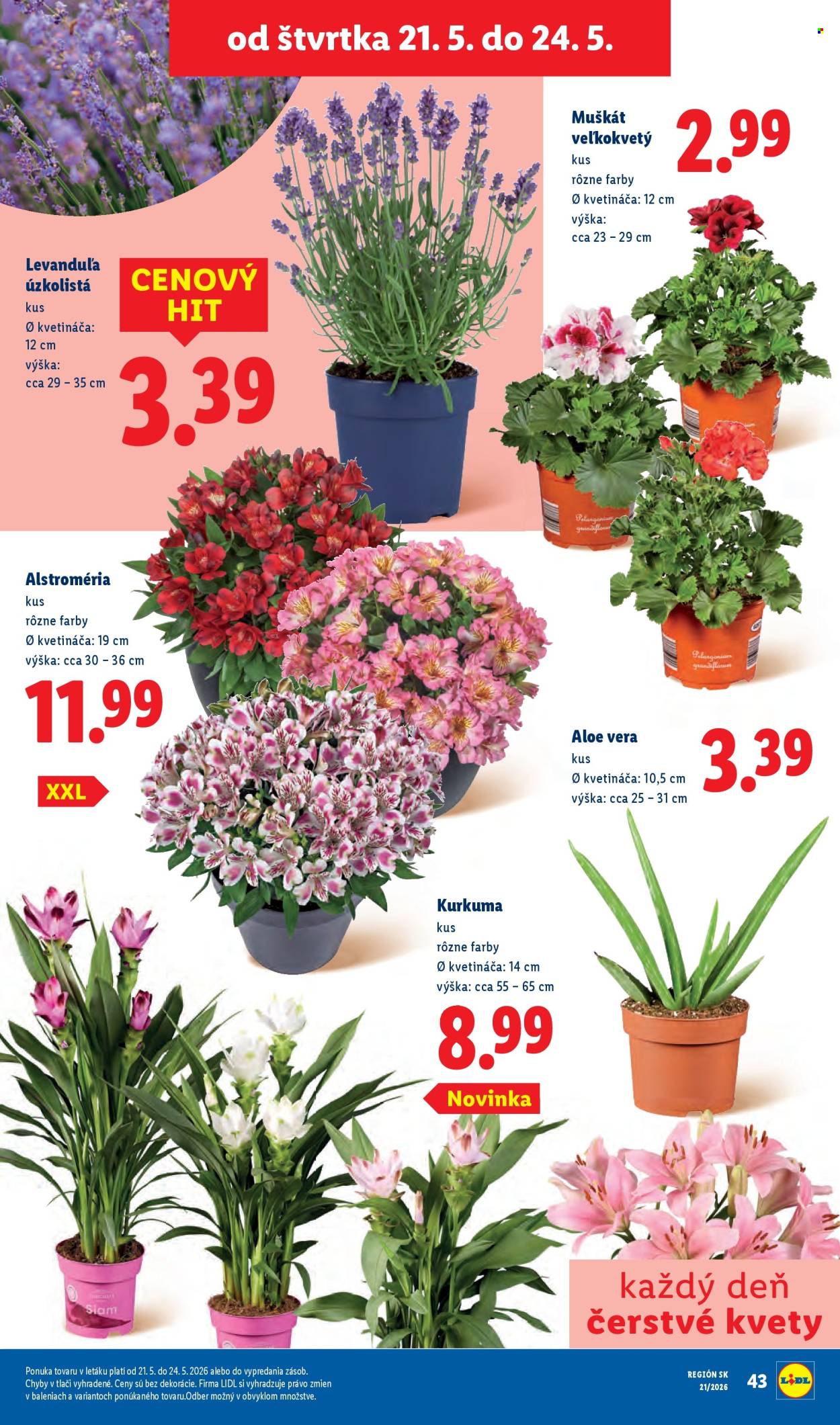 Leták Lidl - 18.5.2026 - 24.5.2026. Strana 78