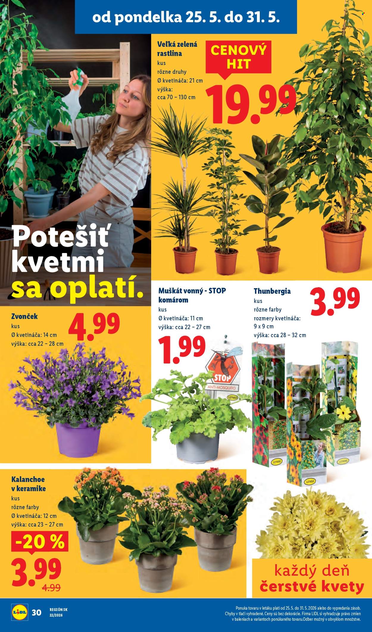 Leták Lidl - 25.5.2026 - 31.5.2026. Strana 48