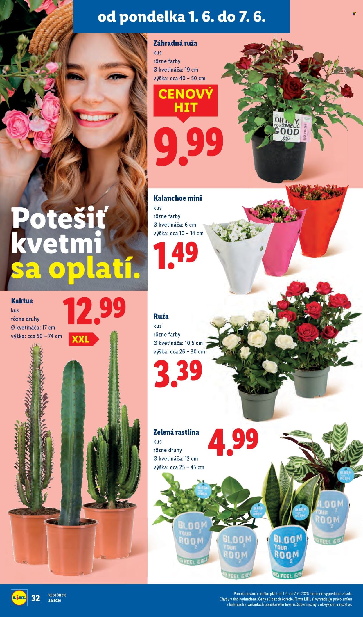 Leták Lidl - 1.6.2026 - 7.6.2026. Strana 46