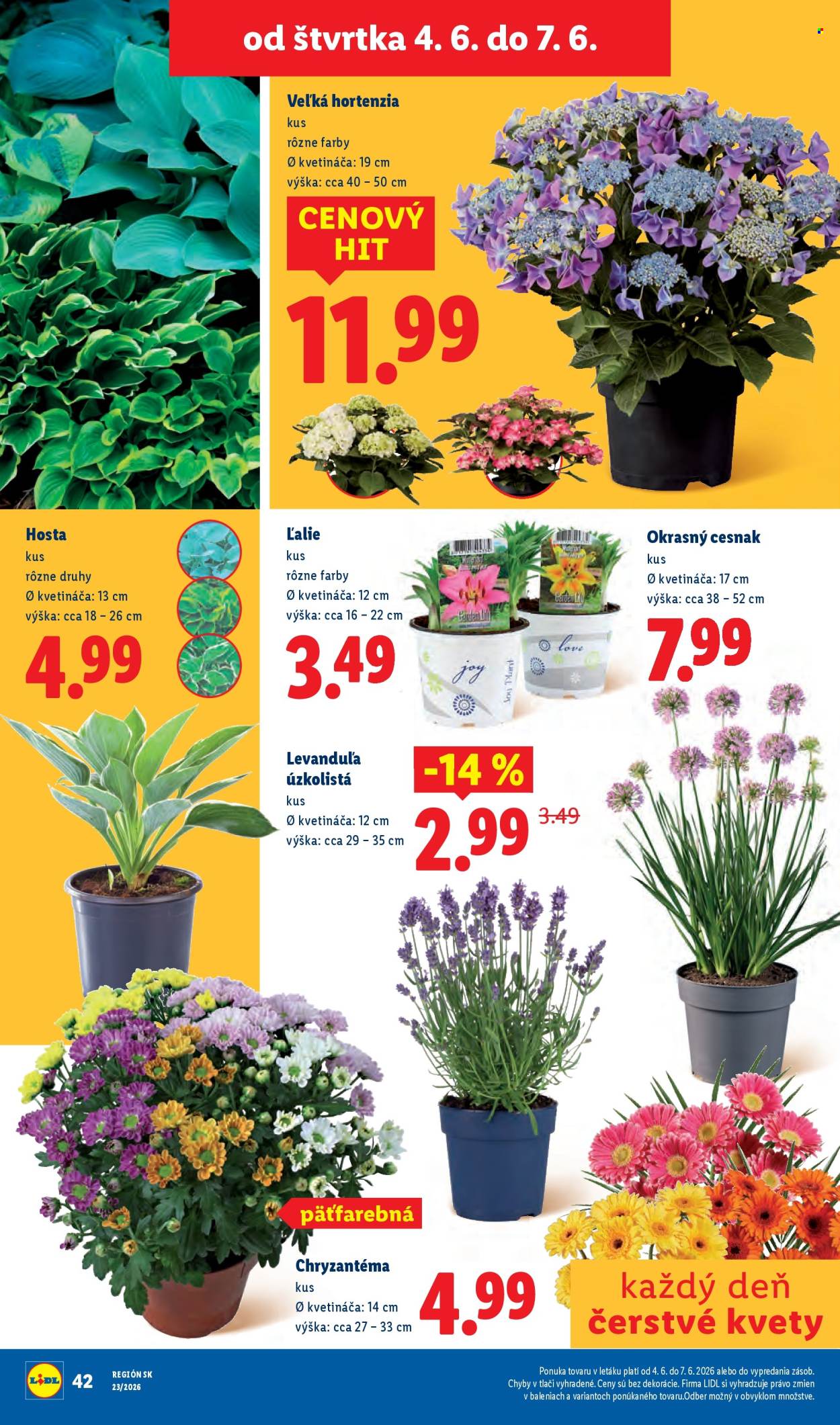 Leták Lidl - 1.6.2026 - 7.6.2026. Strana 78