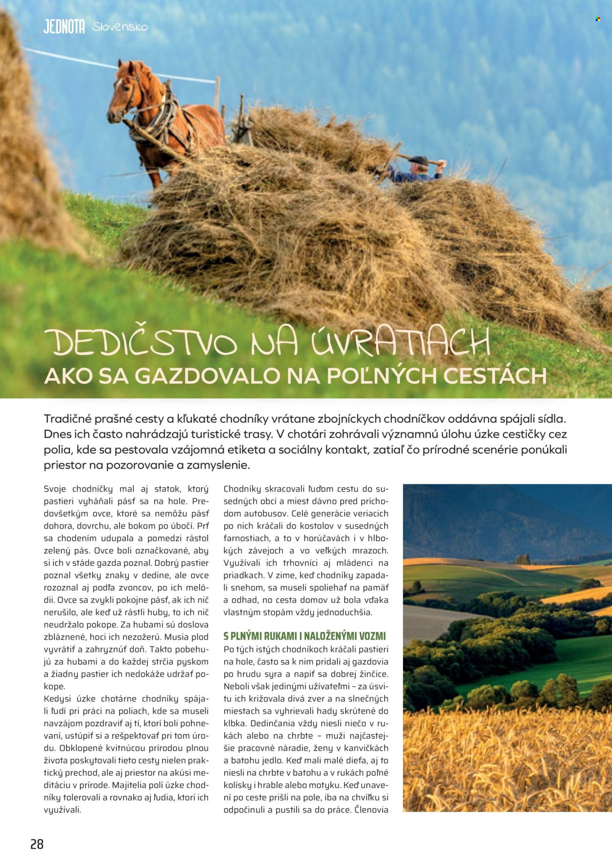Leták COOP Jednota - 1.6.2026 - 30.6.2026. Strana 28