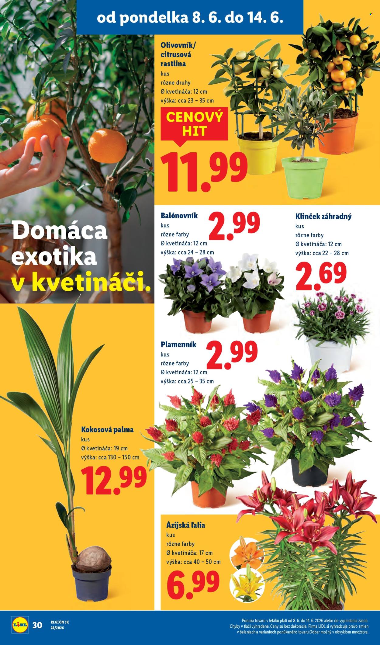 Leták Lidl - 8.6.2026 - 14.6.2026. Strana 44