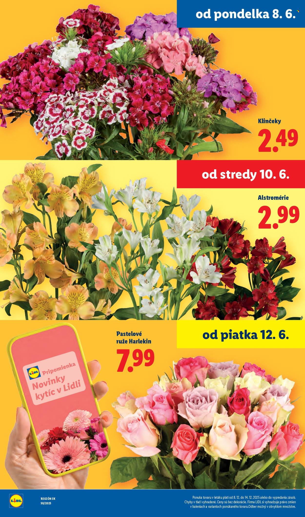 Leták Lidl - 8.6.2026 - 14.6.2026. Strana 45
