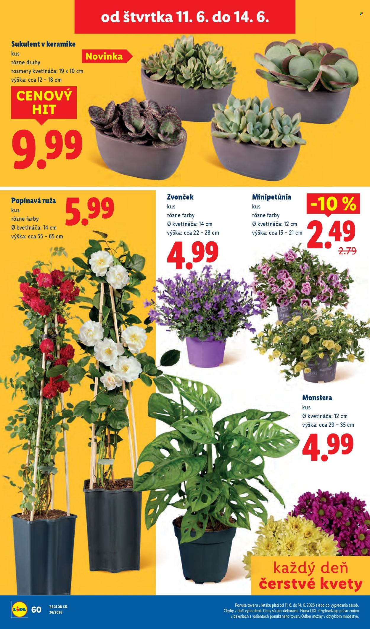 Leták Lidl - 8.6.2026 - 14.6.2026. Strana 80