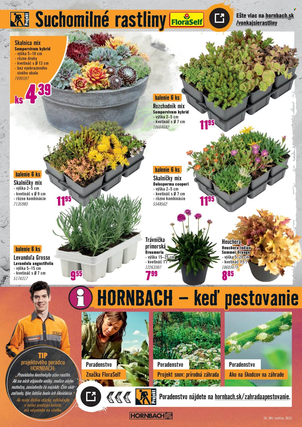 Leták Hornbach - 10.6.2026 - 24.6.2026. Strana 6