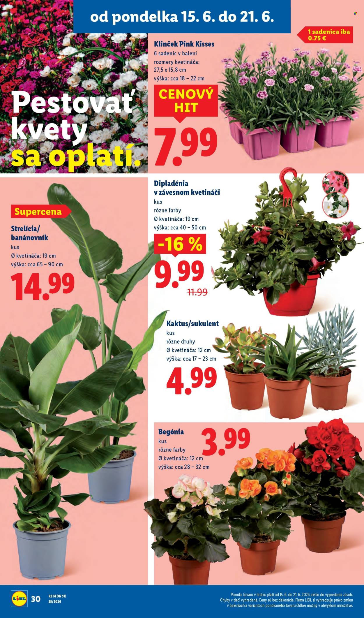 Leták Lidl - 15.6.2026 - 21.6.2026. Strana 45