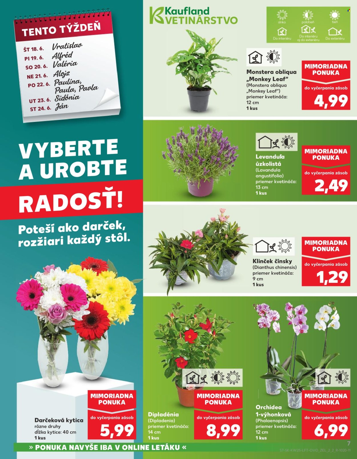 Leták Kaufland - 18.6.2026 - 24.6.2026. Strana 7