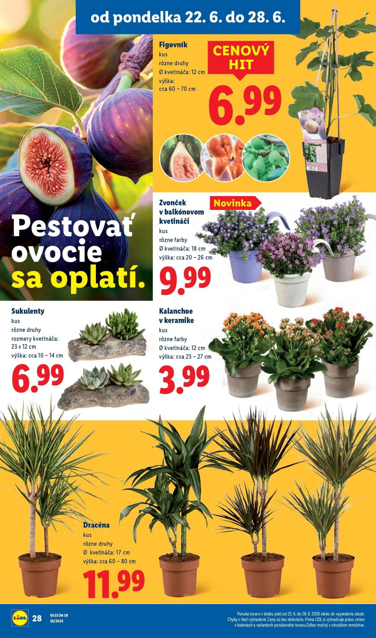 Leták Lidl - 22.6.2026 - 28.6.2026. Strana 40