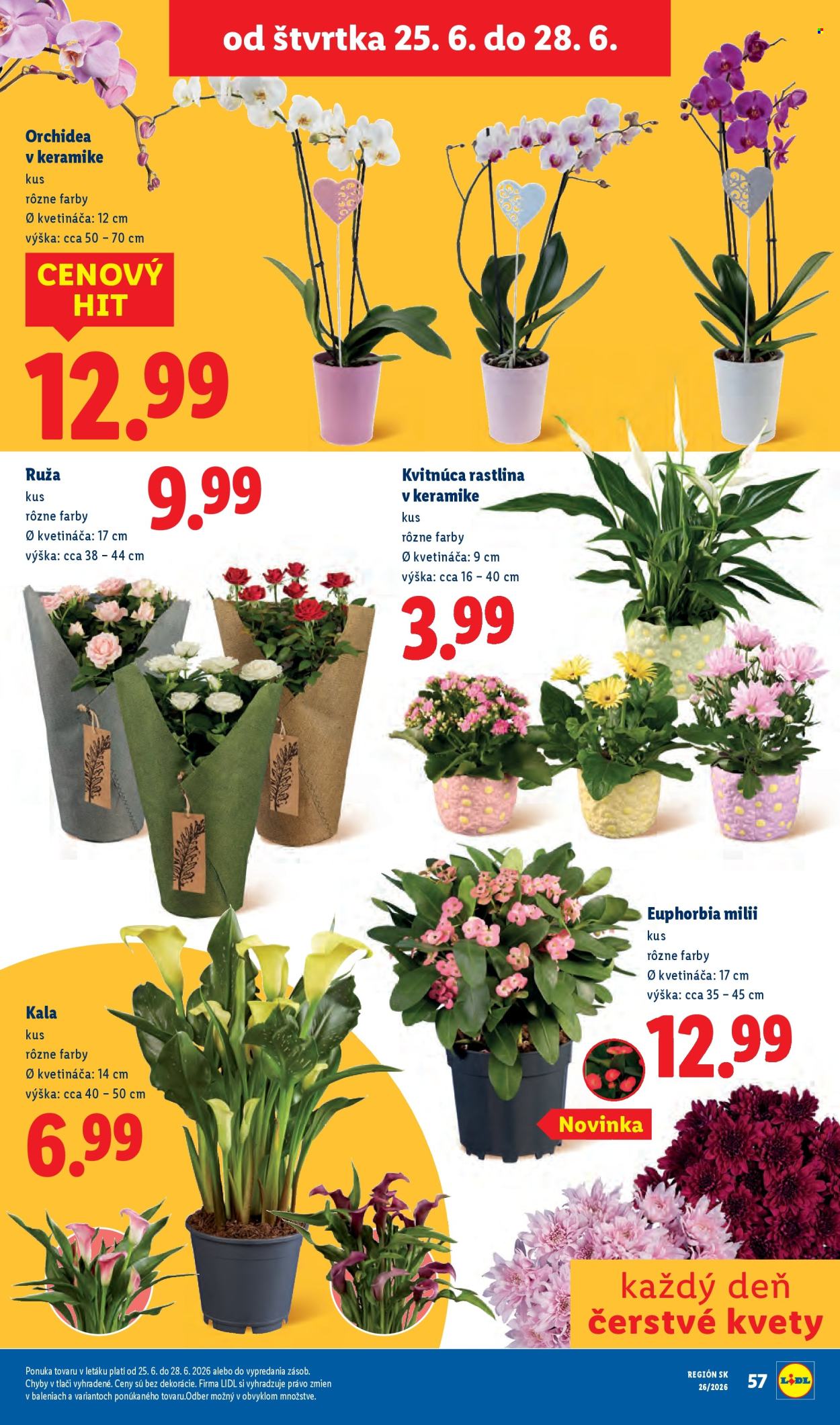 Leták Lidl - 22.6.2026 - 28.6.2026. Strana 78