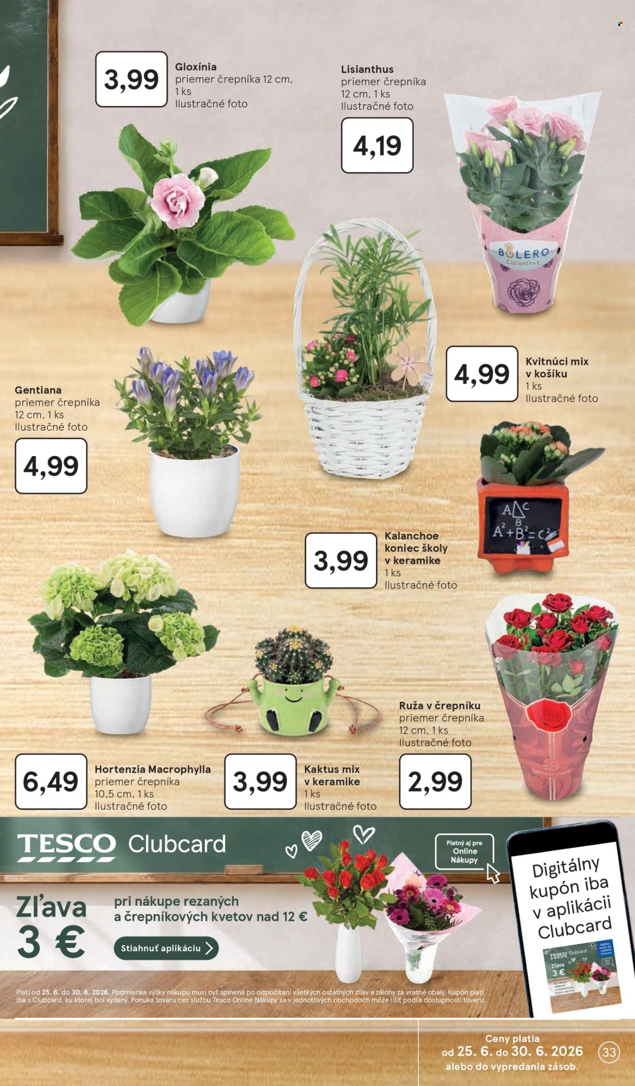 Leták TESCO - 24.6.2026 - 30.6.2026. Strana 33