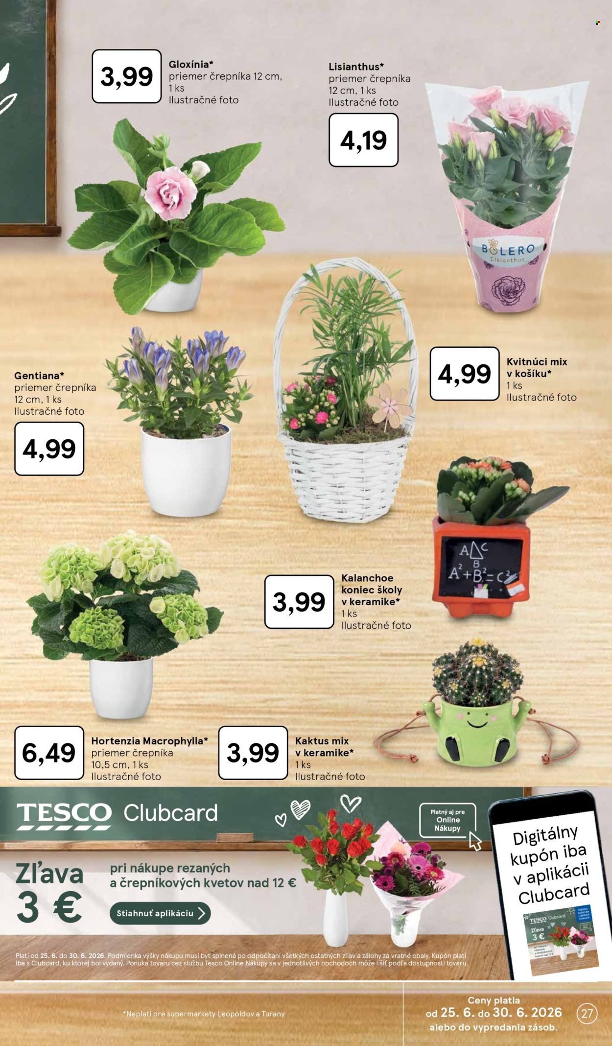 Leták TESCO supermarket - 24.6.2026 - 30.6.2026. Strana 27
