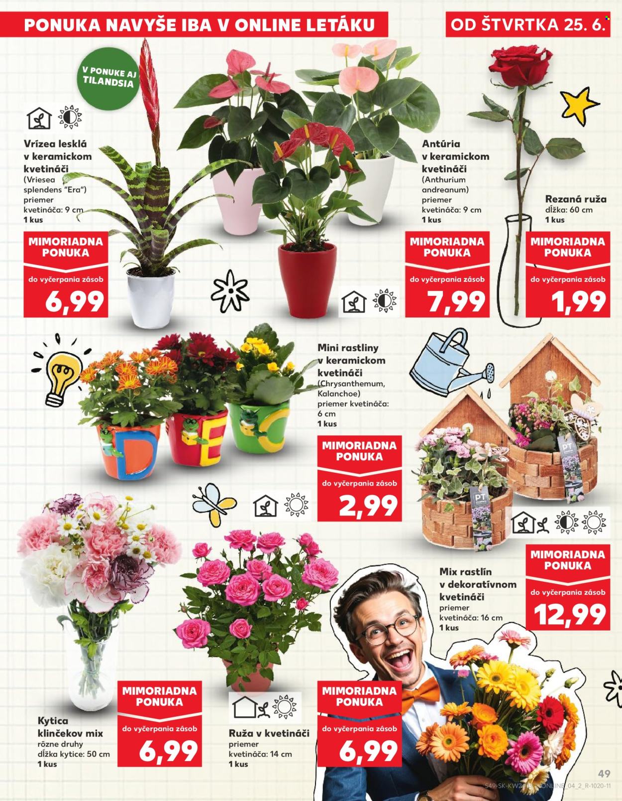 Leták Kaufland - 25.6.2026 - 1.7.2026. Strana 49