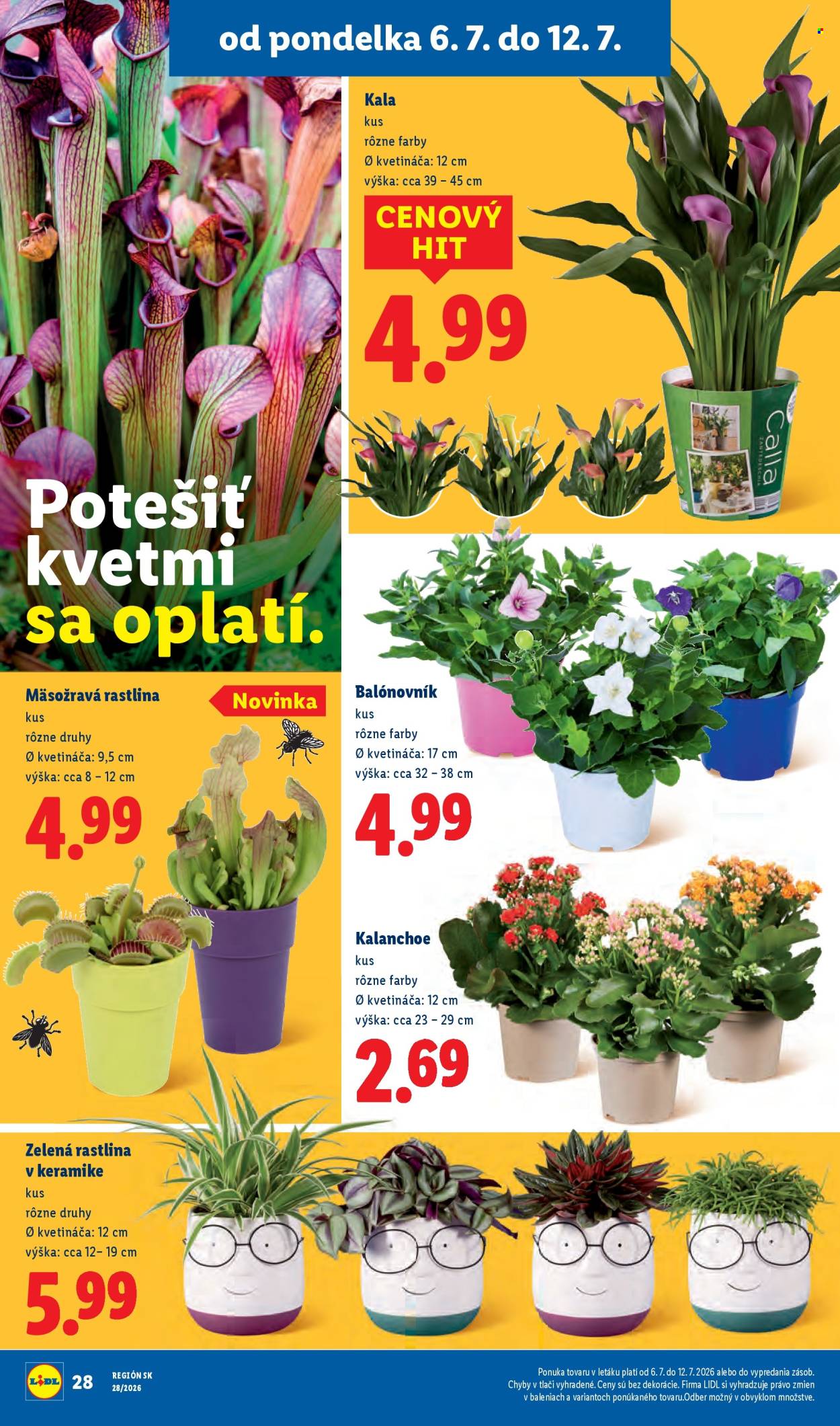 Leták Lidl - 6.7.2026 - 12.7.2026. Strana 49