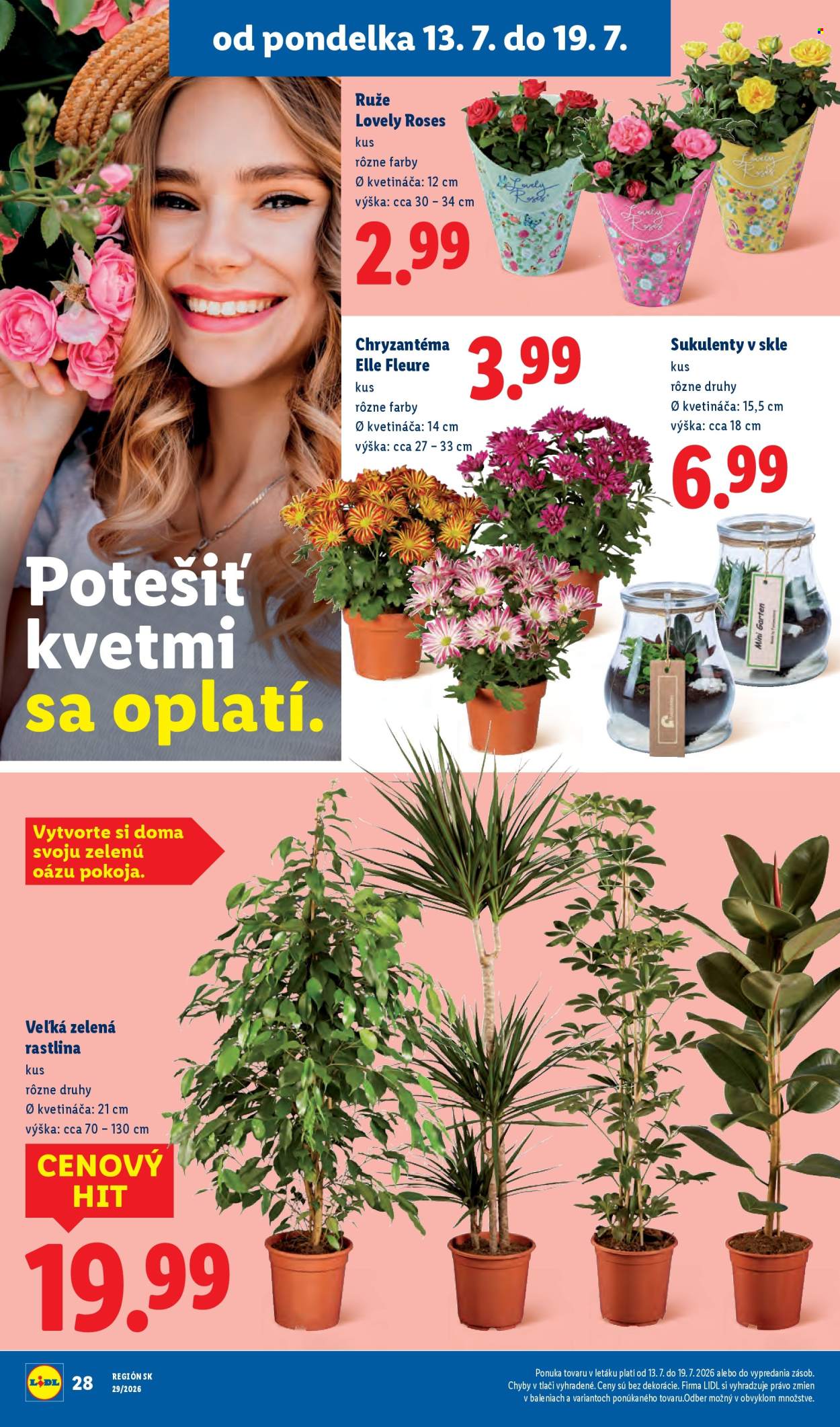 Leták Lidl - 13.7.2026 - 19.7.2026. Strana 37