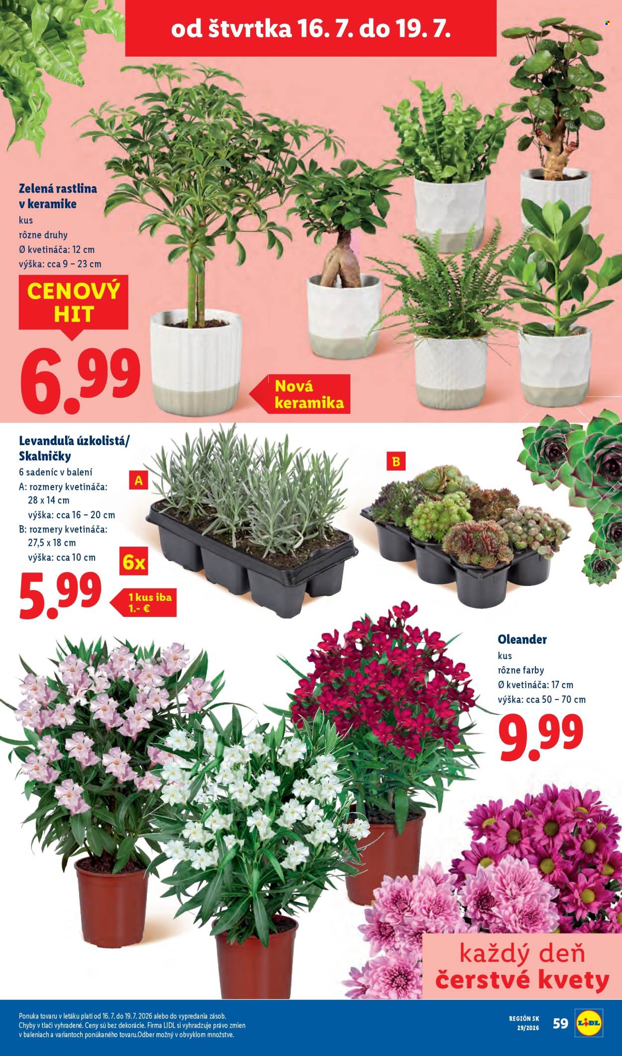 Leták Lidl - 13.7.2026 - 19.7.2026. Strana 72