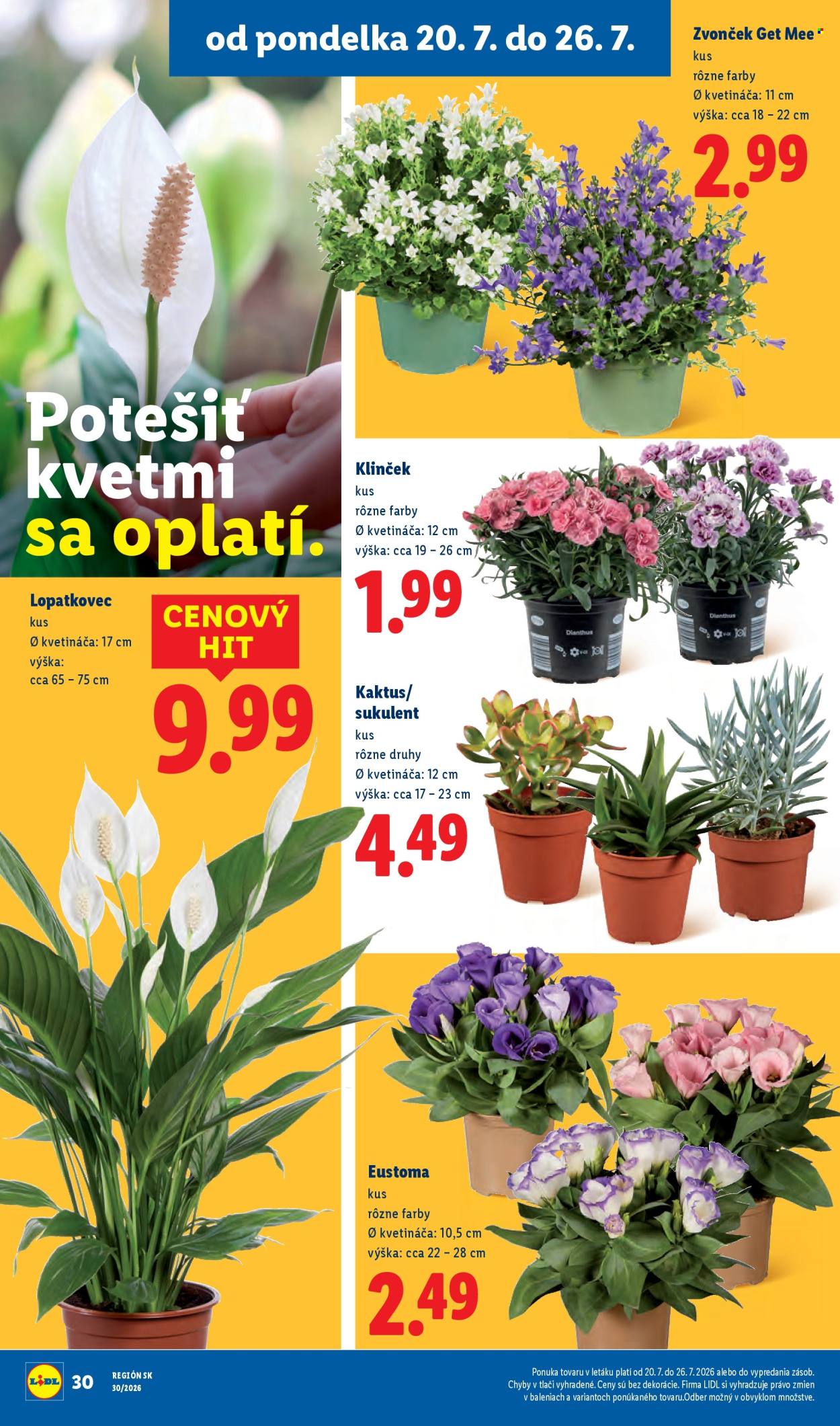Leták Lidl - 20.7.2026 - 26.7.2026. Strana 51
