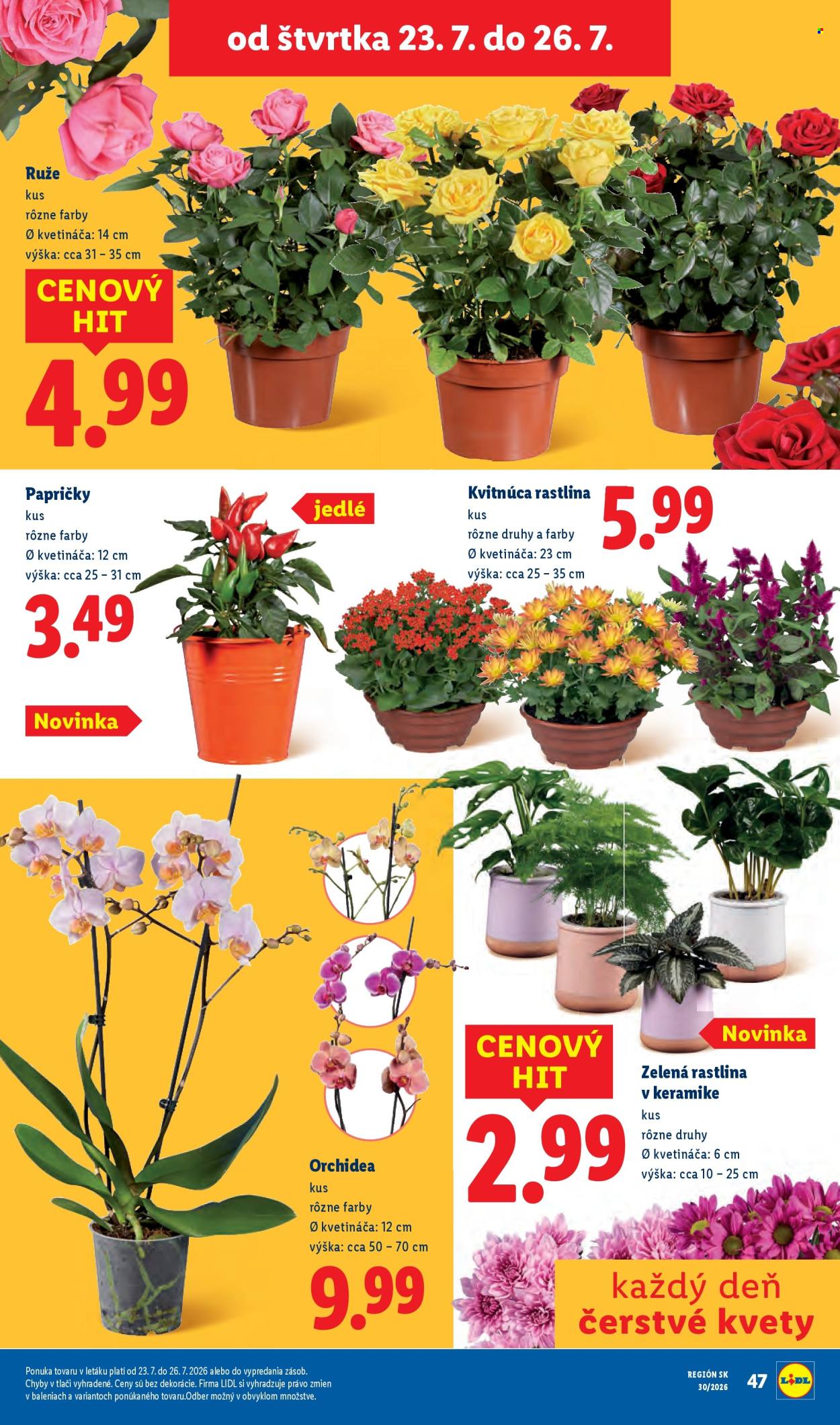 Leták Lidl - 20.7.2026 - 26.7.2026. Strana 91