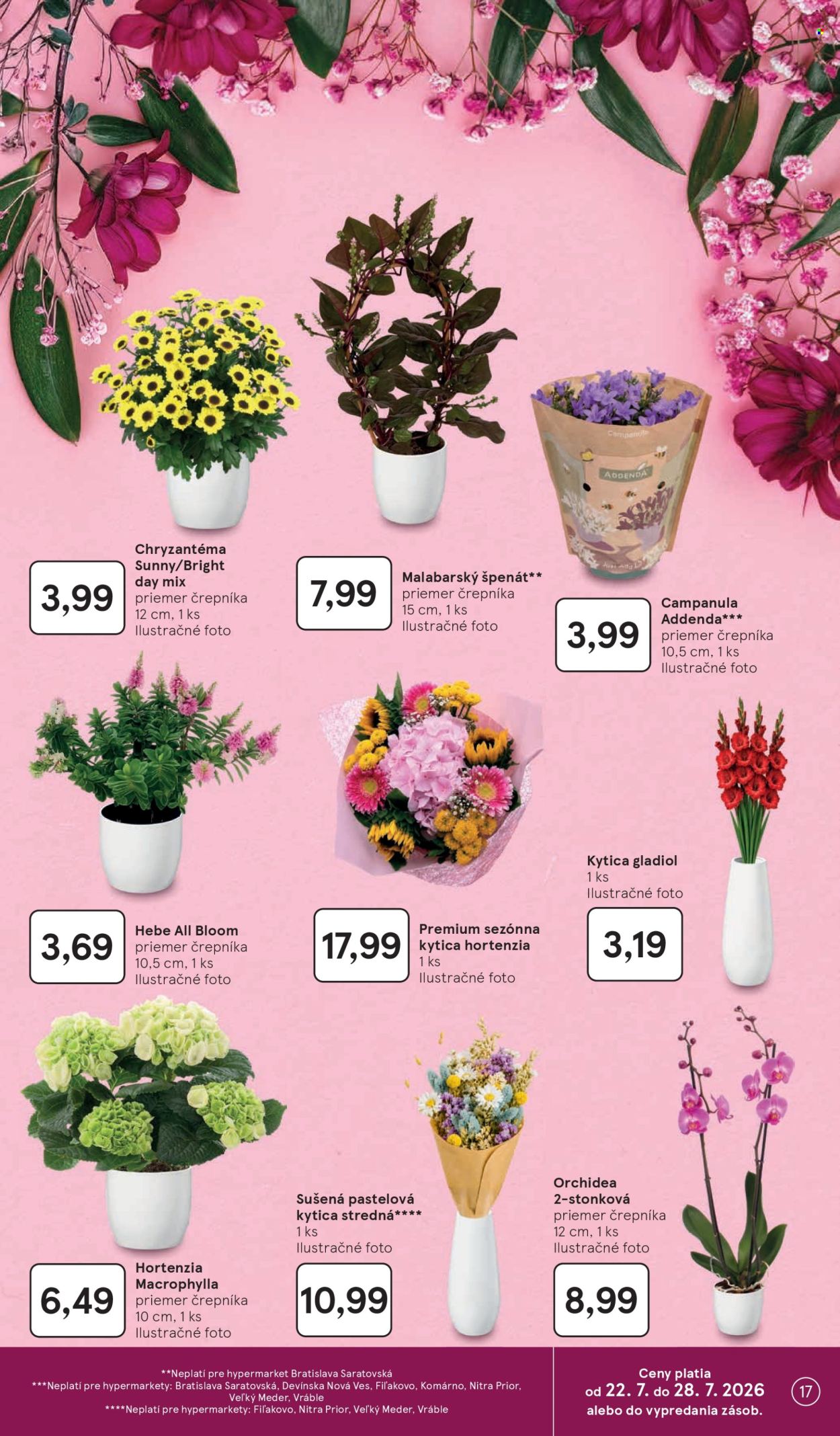 Leták TESCO - 22.7.2026 - 28.7.2026. Strana 17