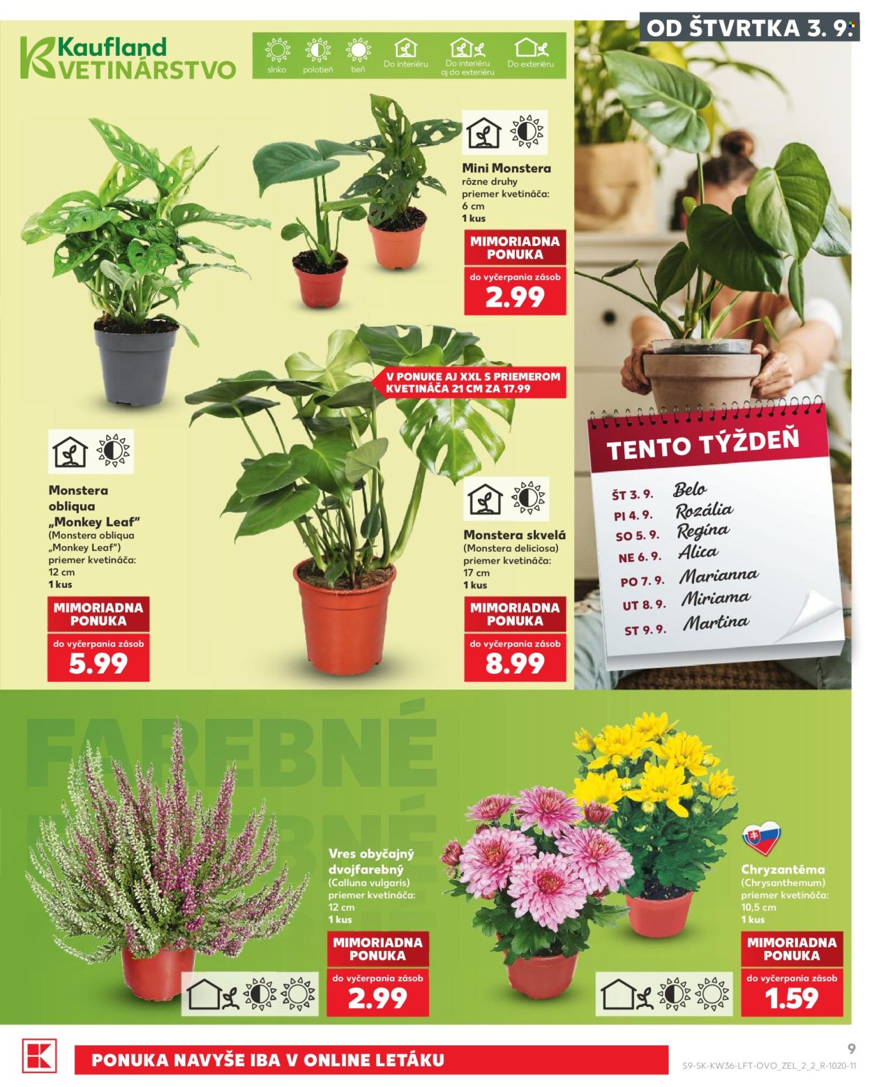 Leták Kaufland - 3.9.2026 - 3.9.2026. Strana 9