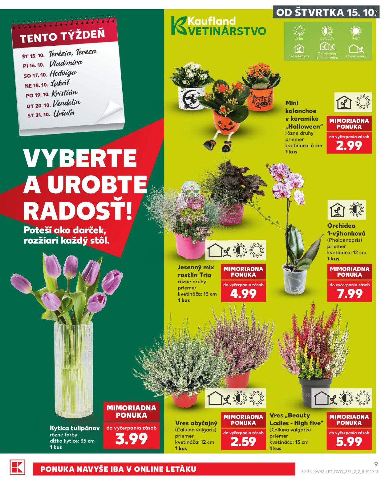 Leták Kaufland - 15.10.2026 - 21.10.2026. Strana 9