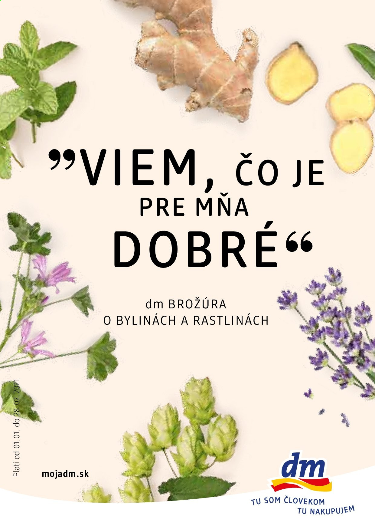 Leták dm drogerie - 1.1.2021 - 28.2.2021. Strana 1