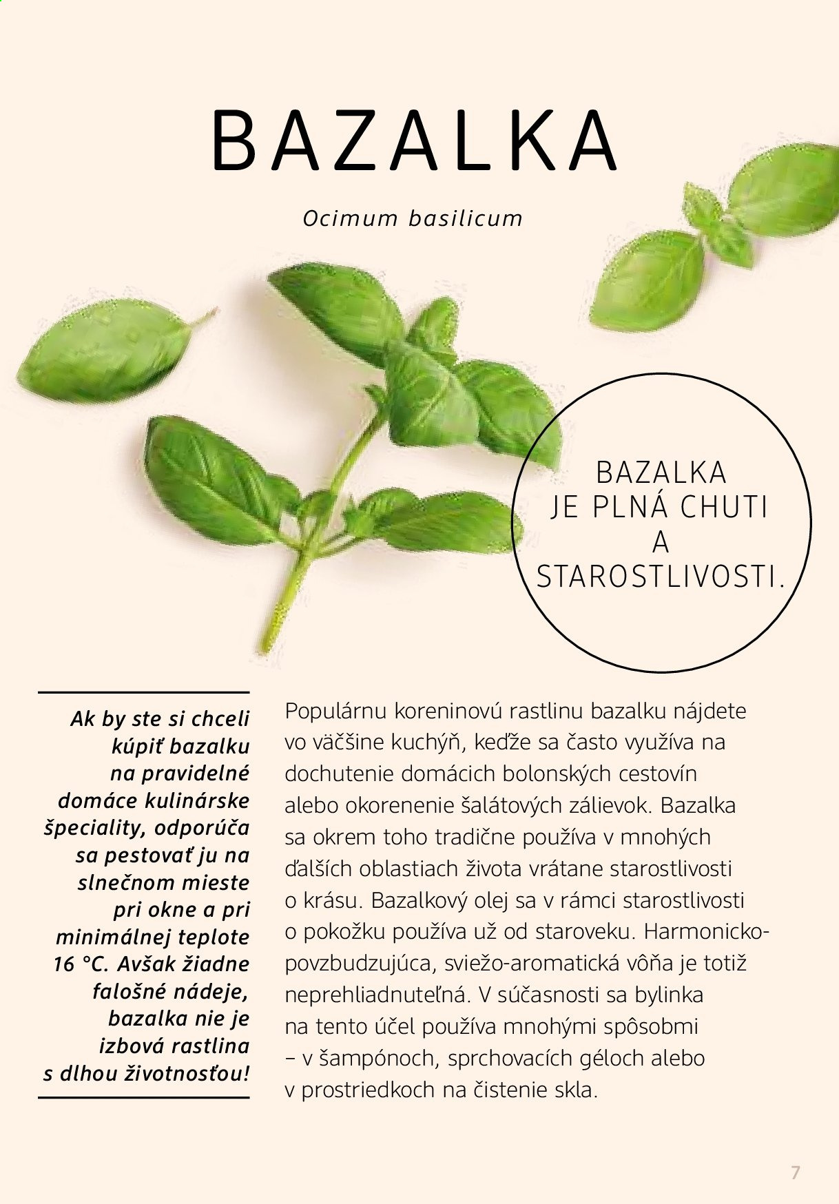 Leták dm drogerie - 1.1.2021 - 28.2.2021. Strana 7