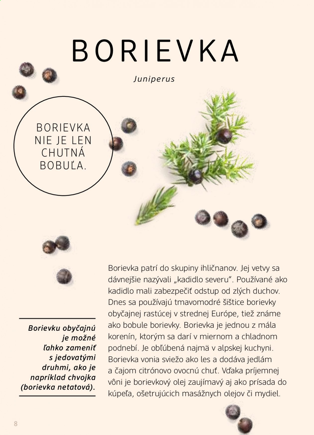 Leták dm drogerie - 1.1.2021 - 28.2.2021. Strana 8