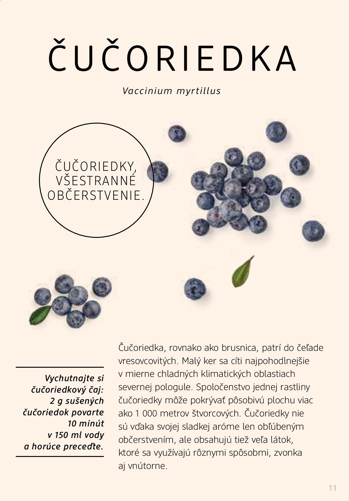 Leták dm drogerie - 1.1.2021 - 28.2.2021. Strana 11