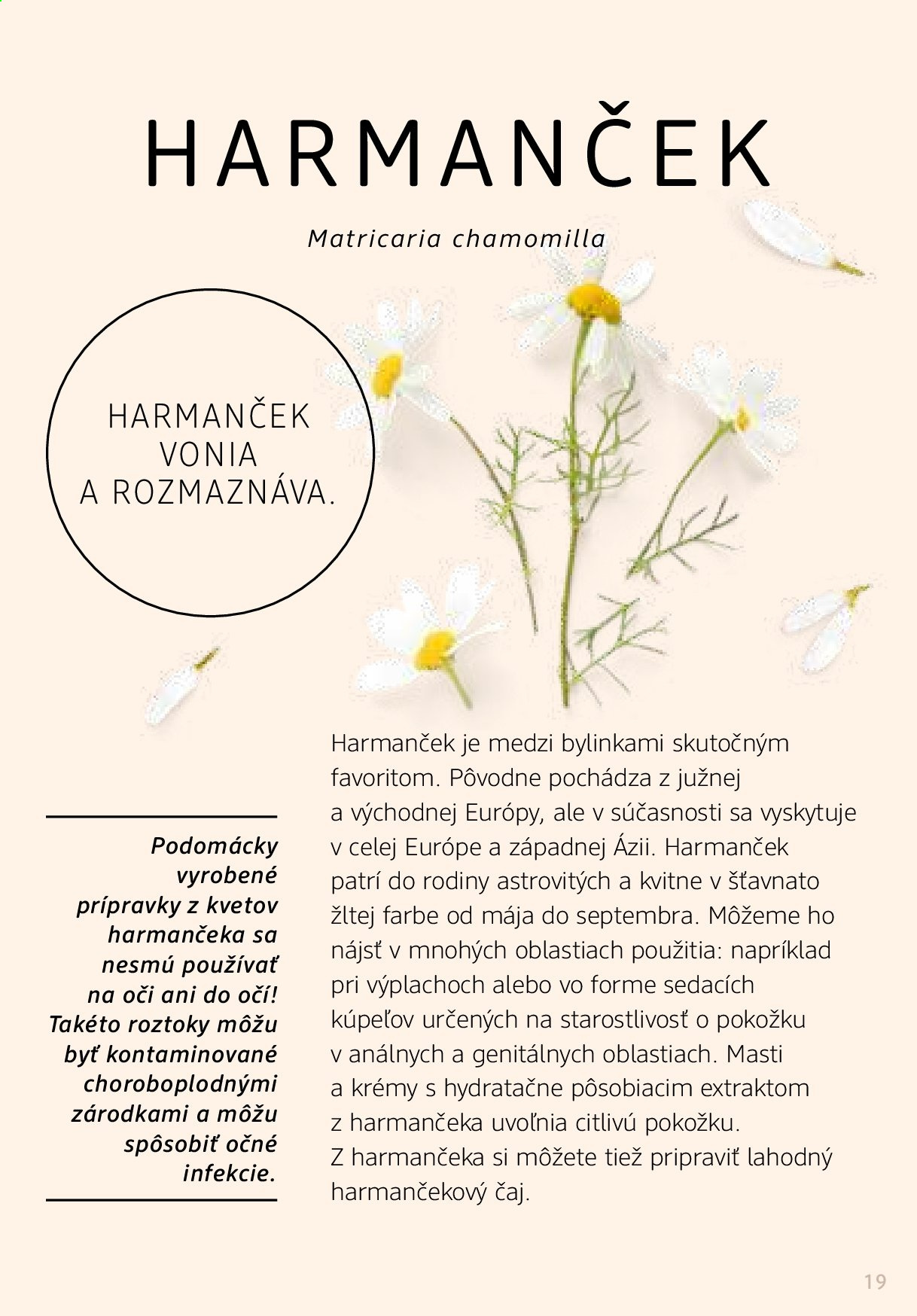Leták dm drogerie - 1.1.2021 - 28.2.2021. Strana 19