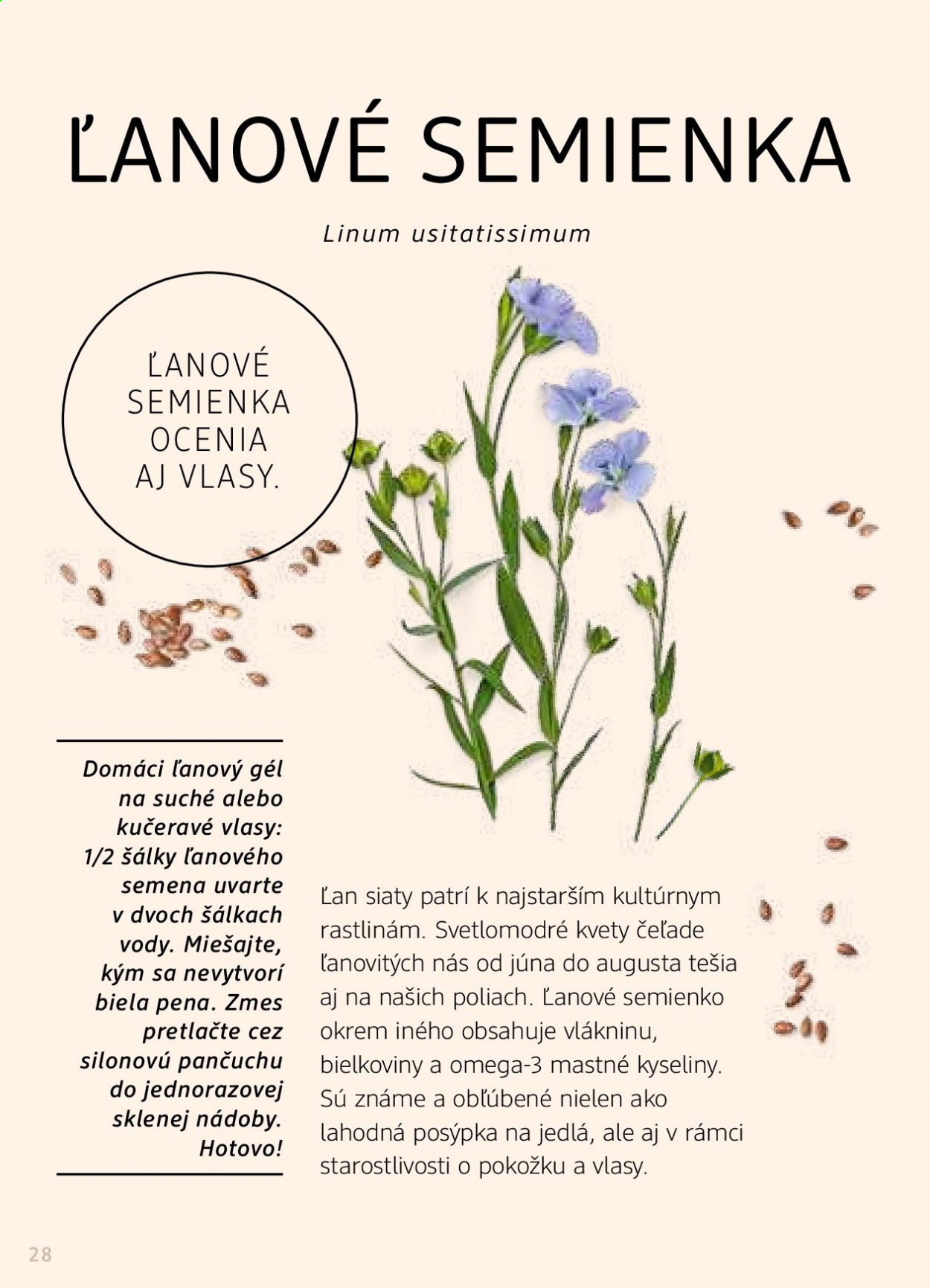 Leták dm drogerie - 1.1.2021 - 28.2.2021. Strana 28