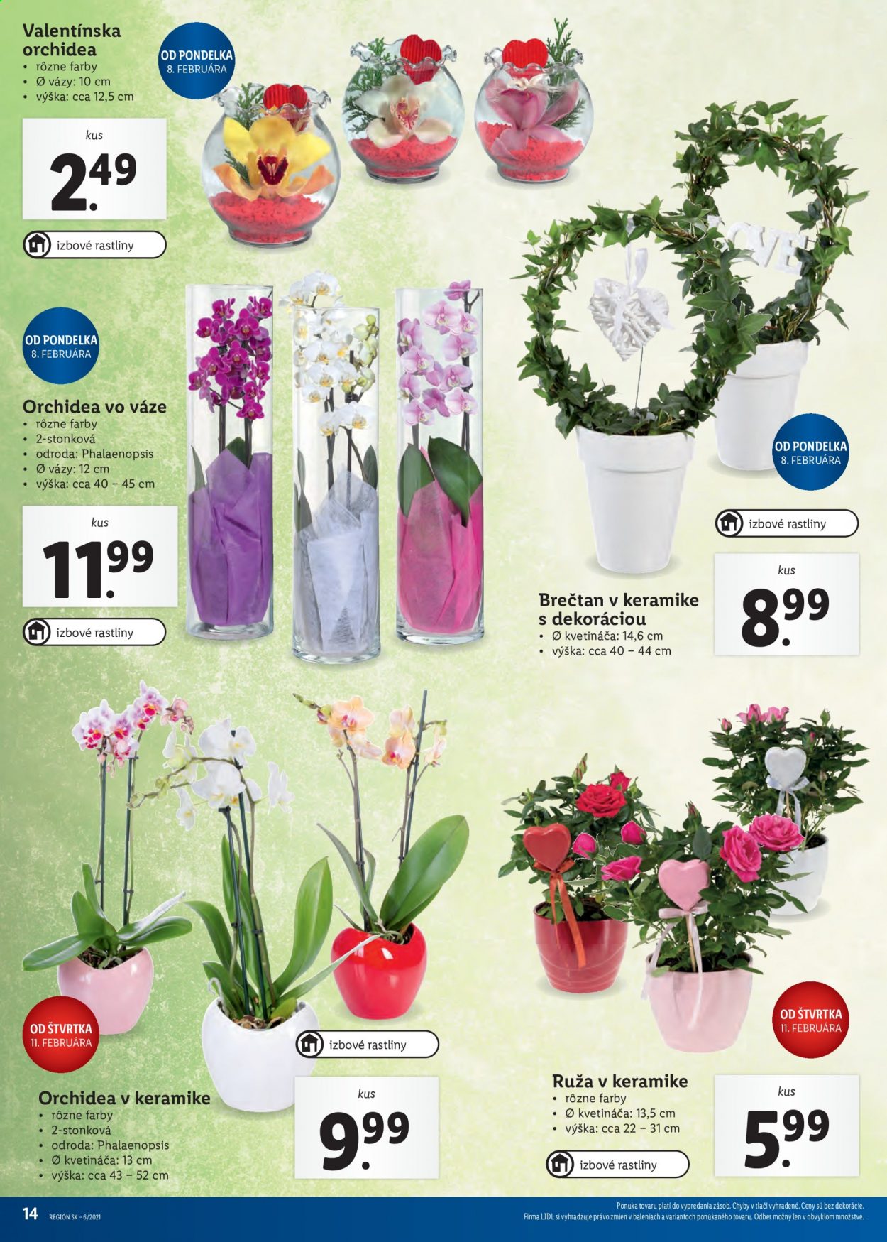 Leták Lidl - 8.2.2021 - 14.2.2021. Strana 14