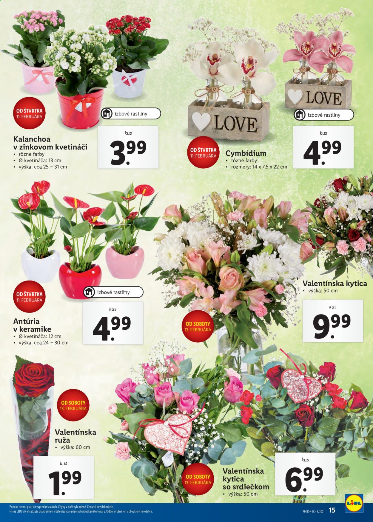 Leták Lidl - 8.2.2021 - 14.2.2021. Strana 15