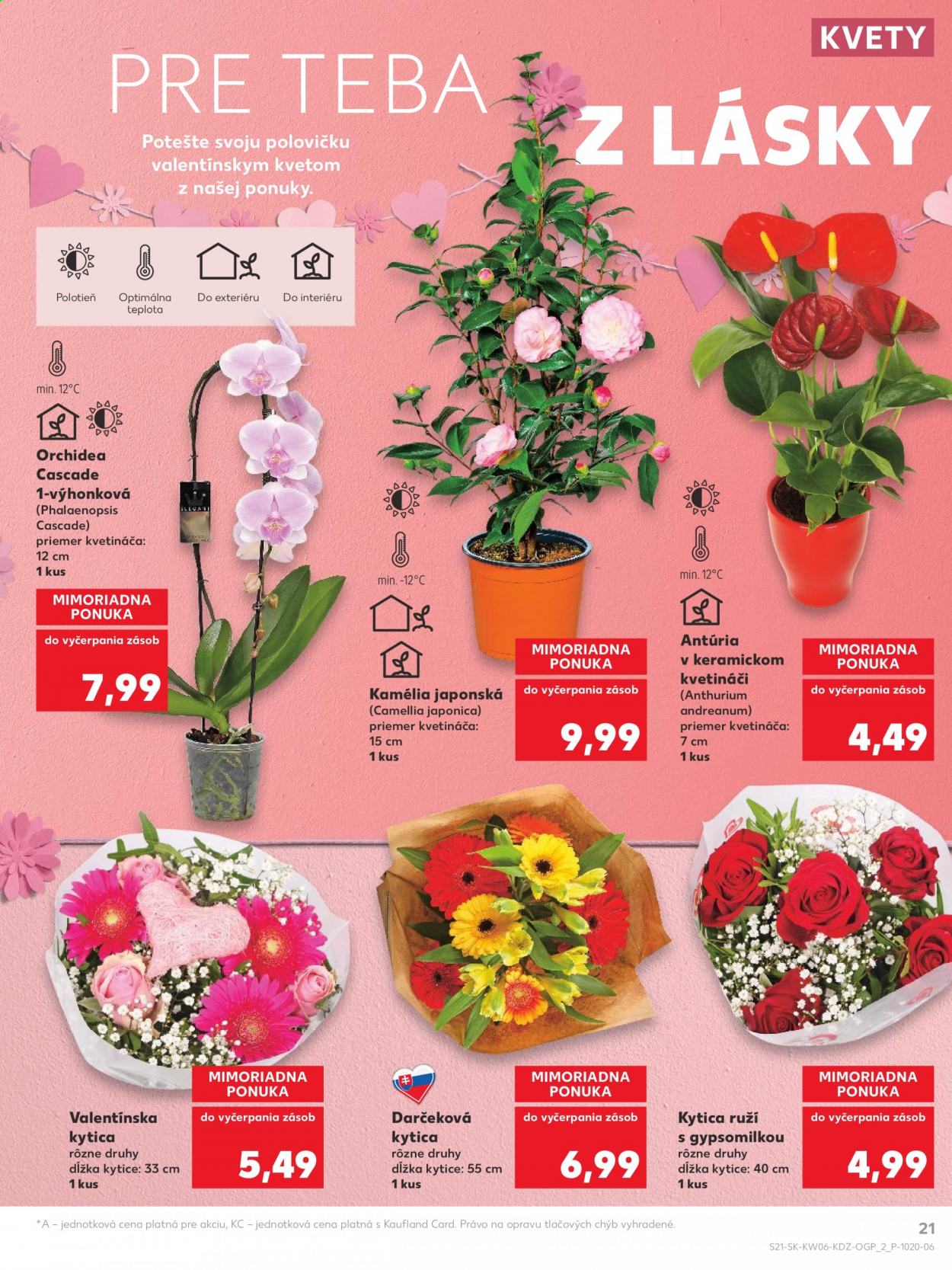 Leták Kaufland - 11.2.2021 - 17.2.2021. Strana 21