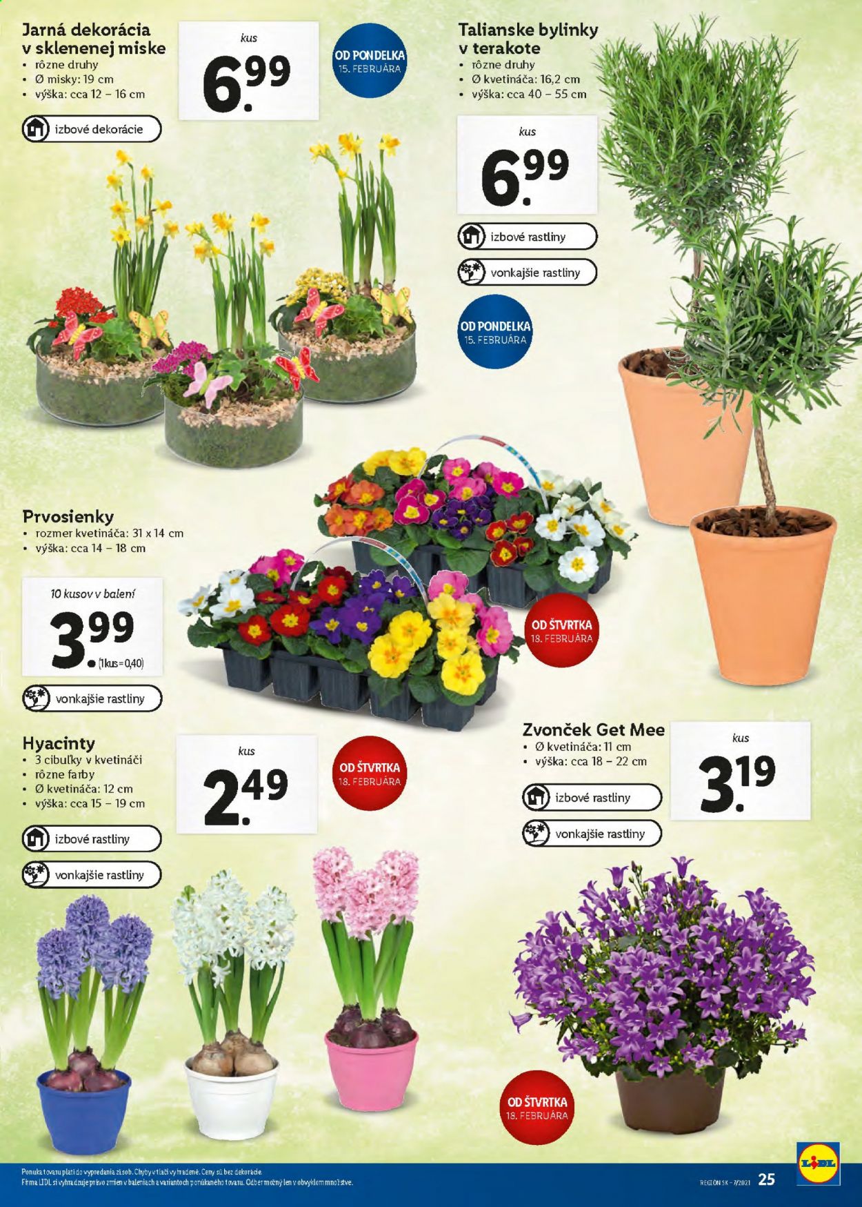 Leták Lidl - 15.2.2021 - 21.2.2021. Strana 24