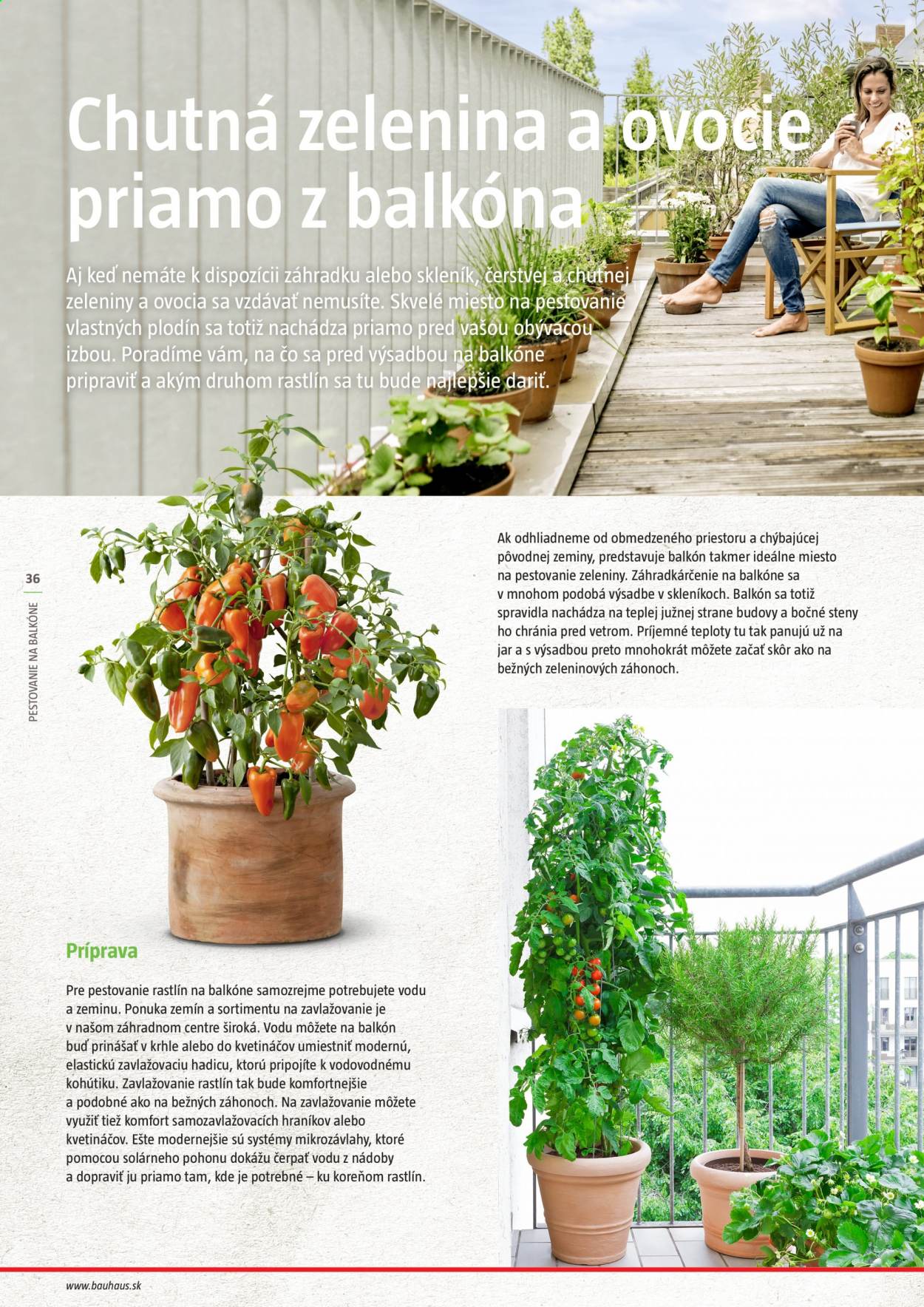 Leták Bauhaus. Strana 36