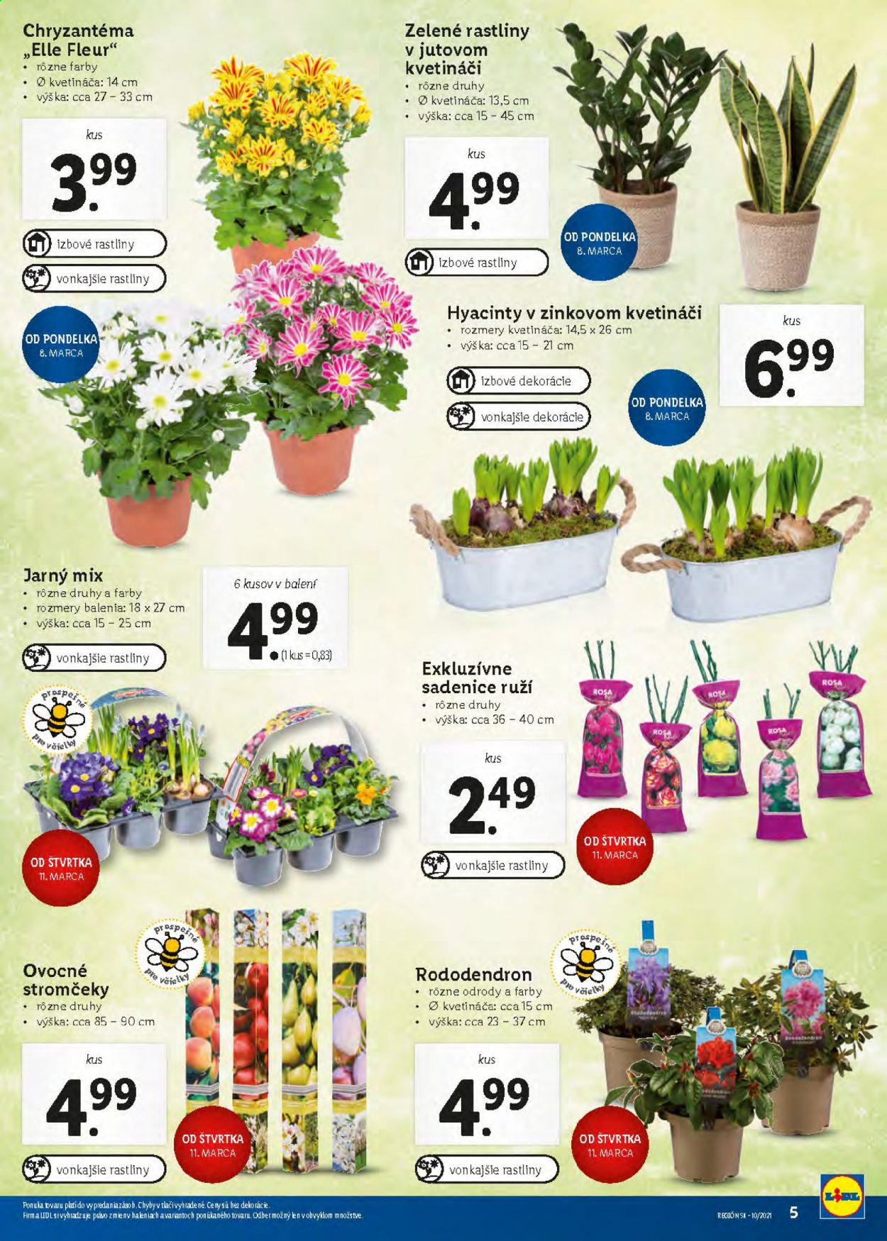Leták Lidl - 8.3.2021 - 14.3.2021. Strana 5