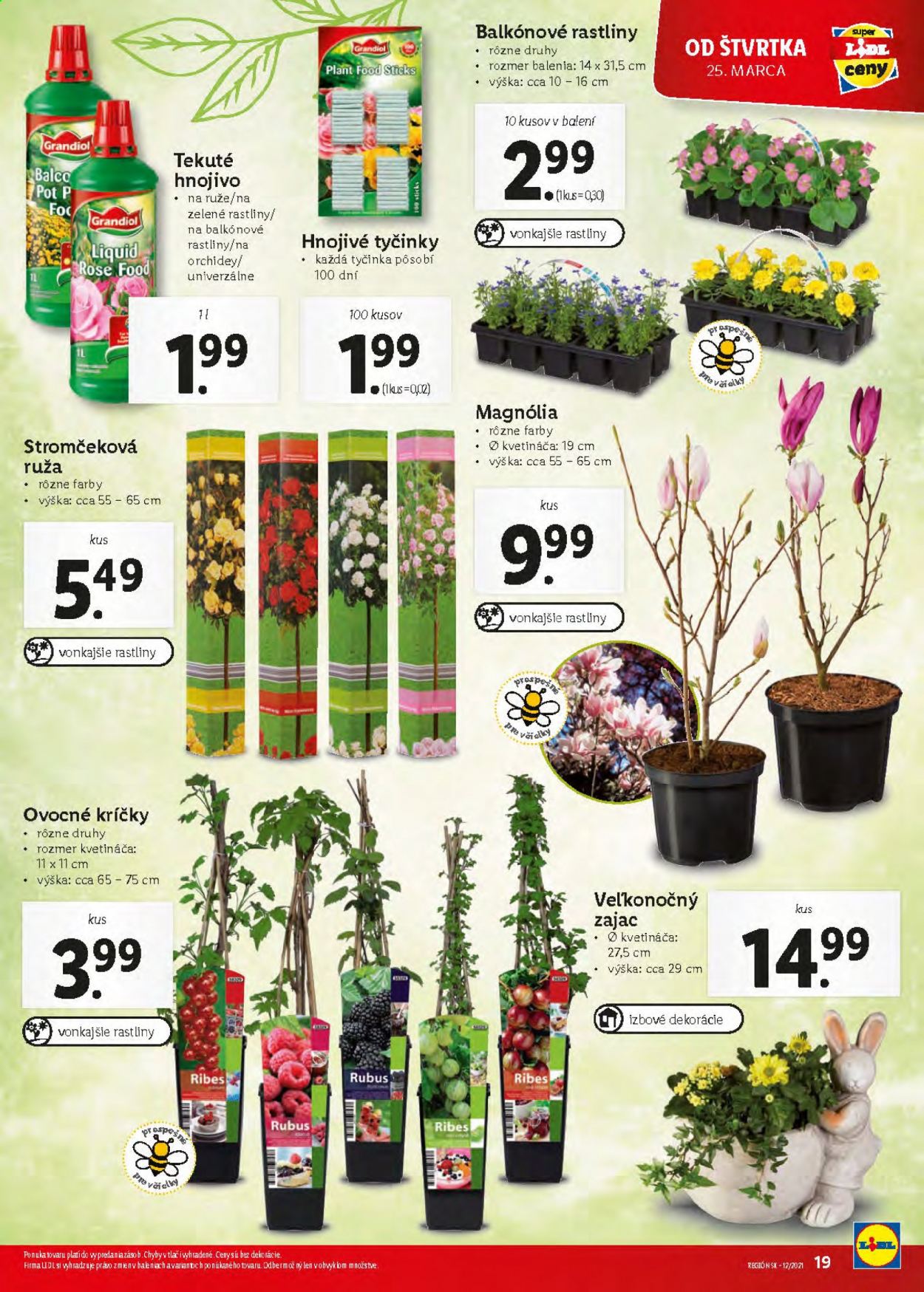Leták Lidl - 25.3.2021 - 28.3.2021. Strana 19