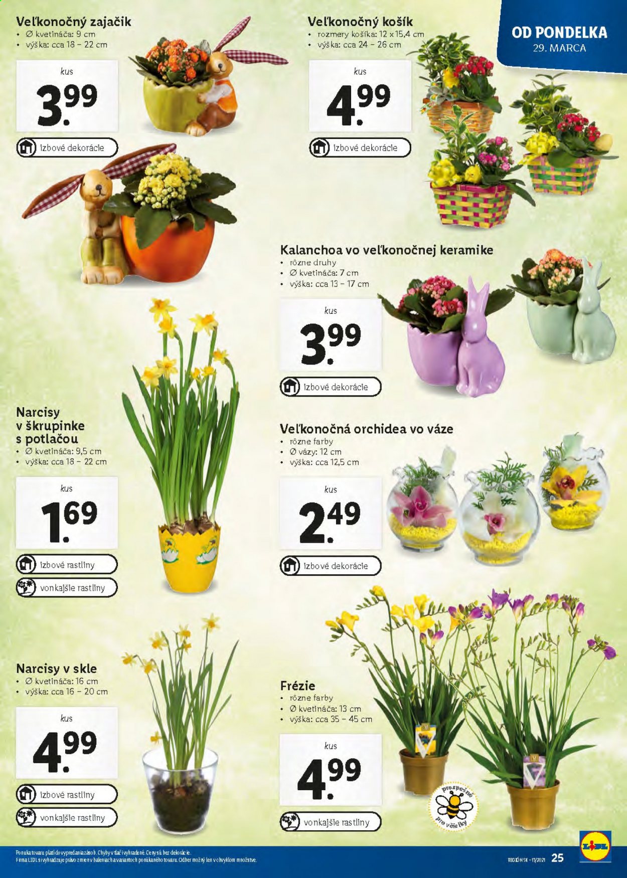 Leták Lidl - 29.3.2021 - 3.4.2021. Strana 25