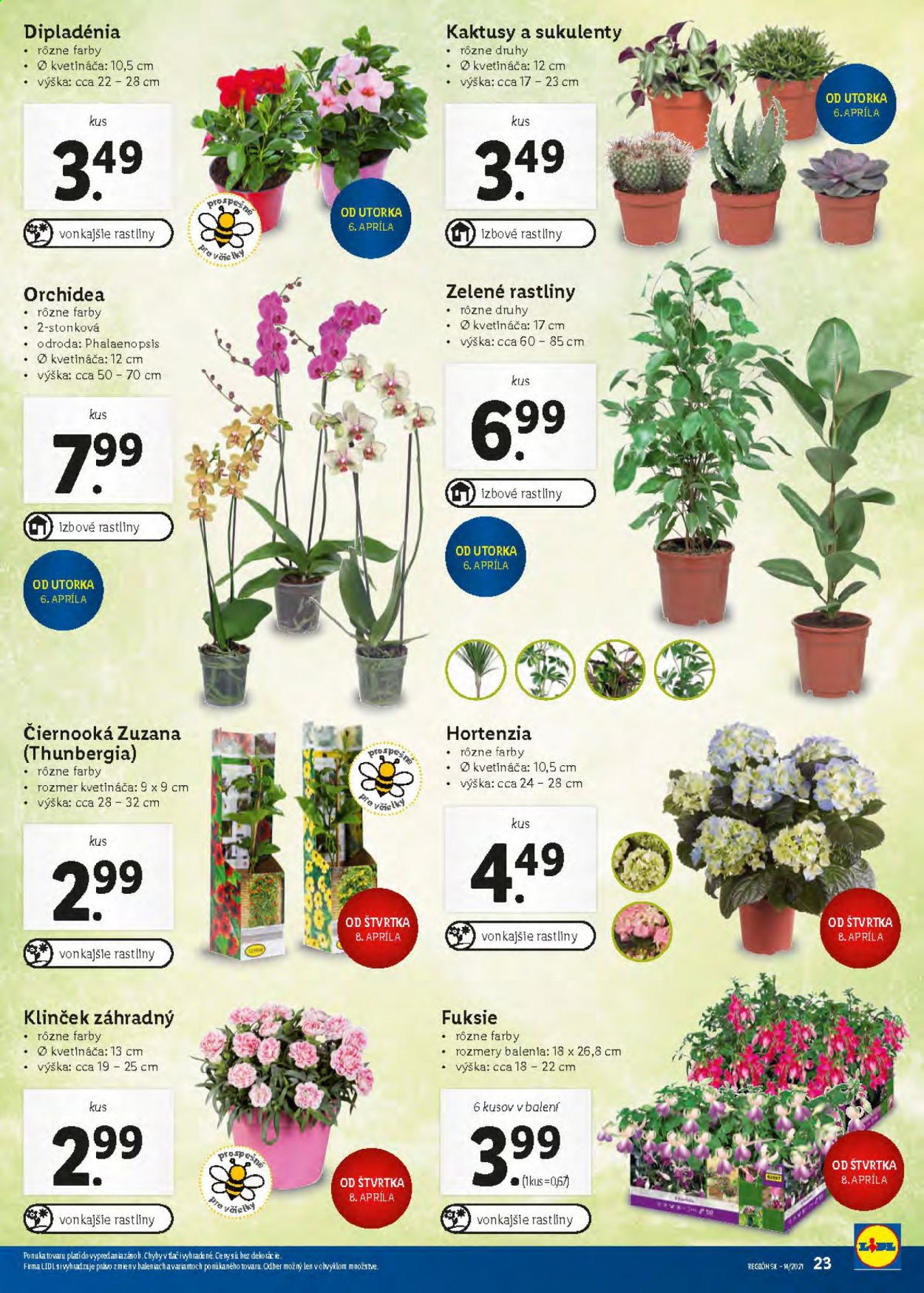 Leták Lidl - 6.4.2021 - 11.4.2021. Strana 23