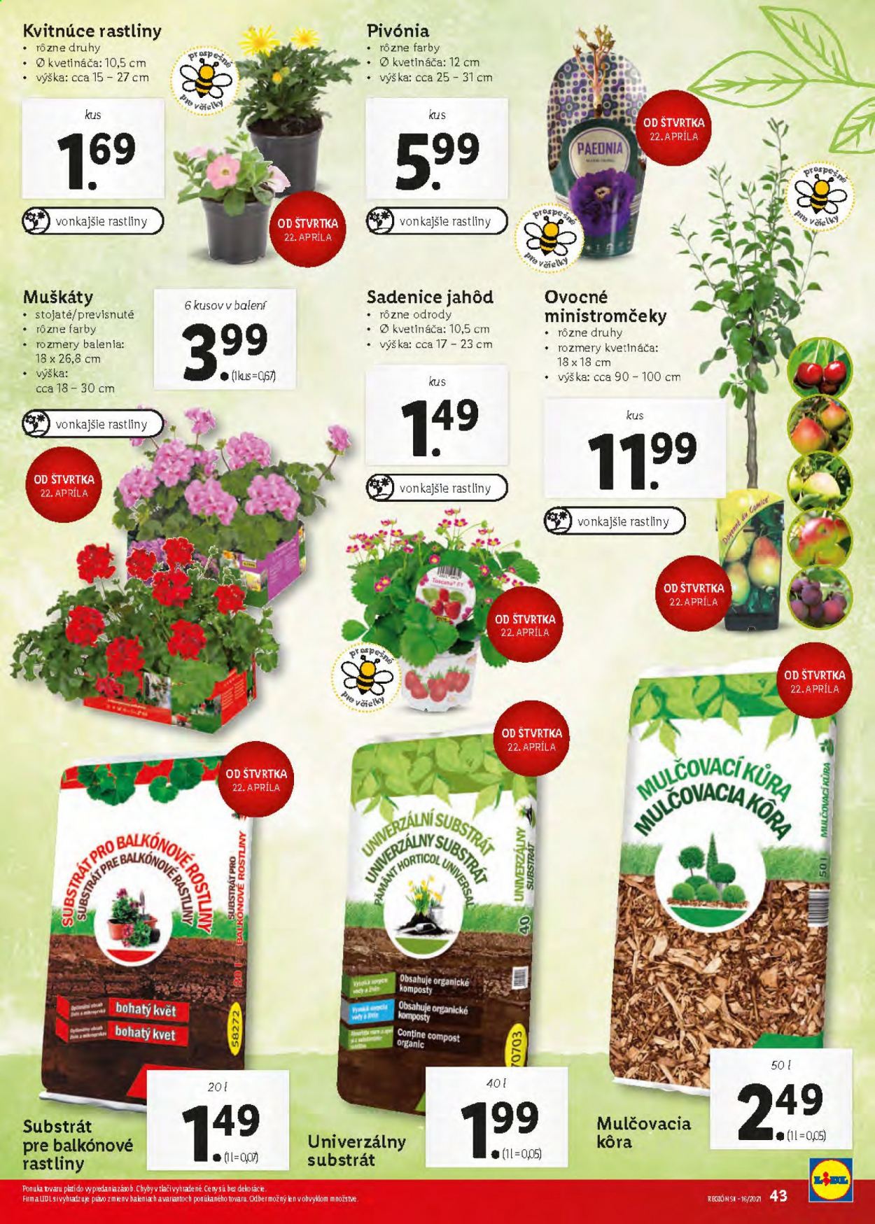Leták Lidl - 19.4.2021 - 25.4.2021. Strana 45